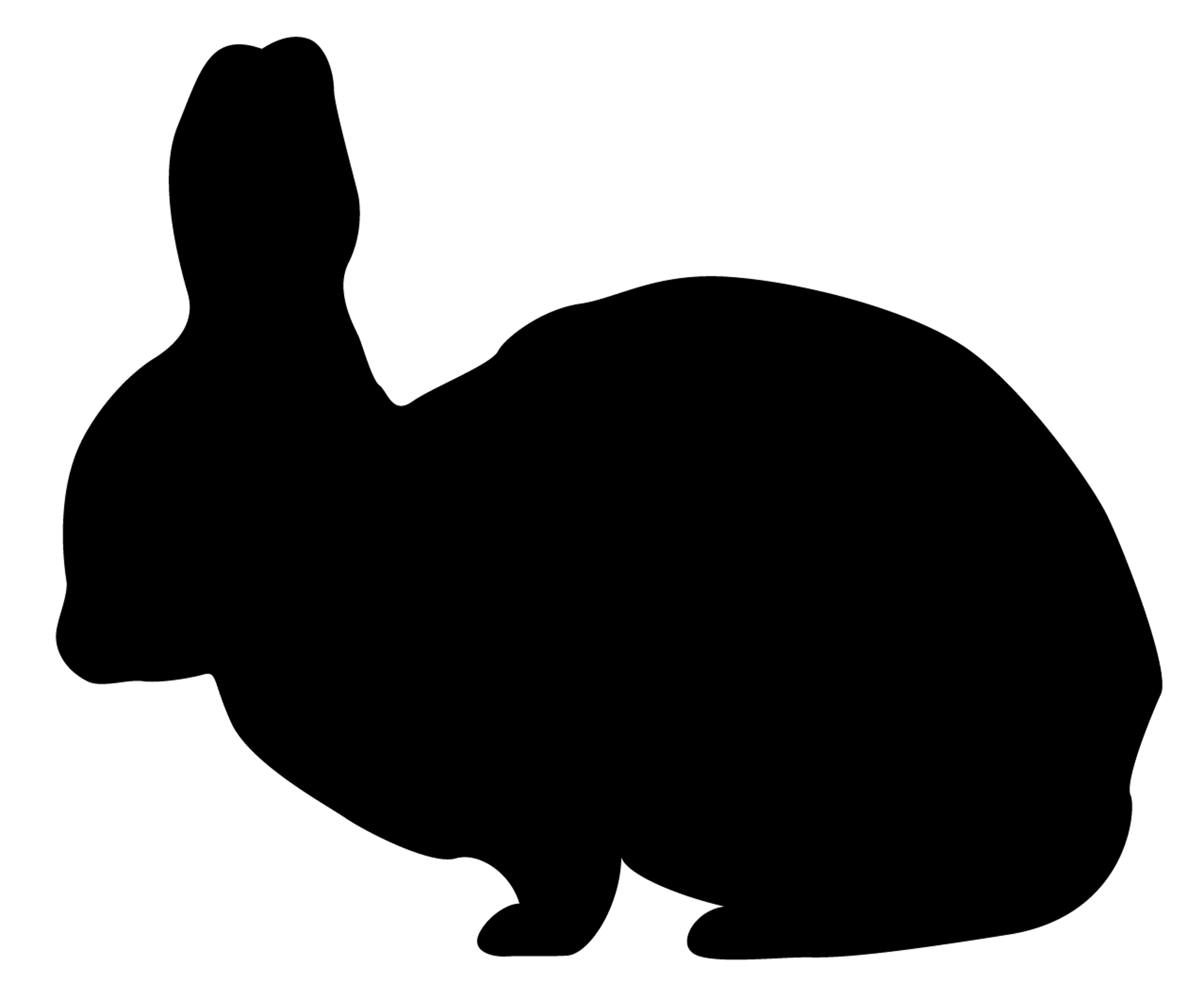 rabbit