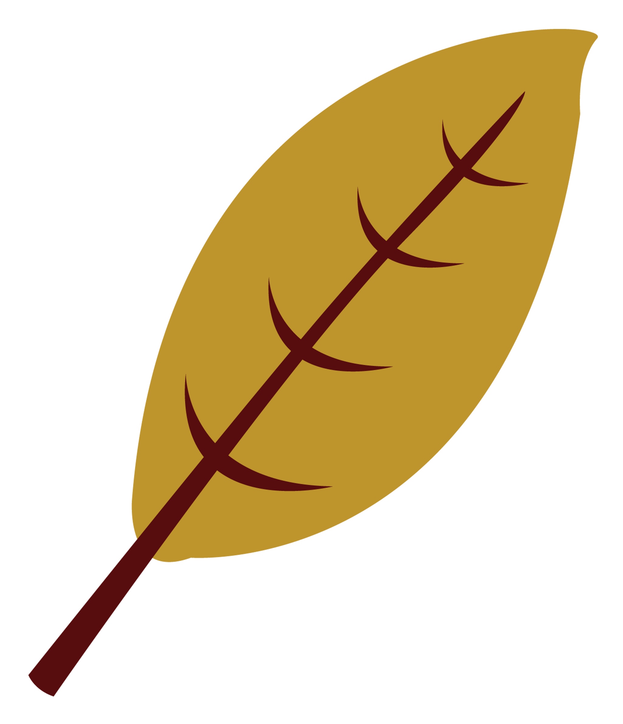 Fall Leaf