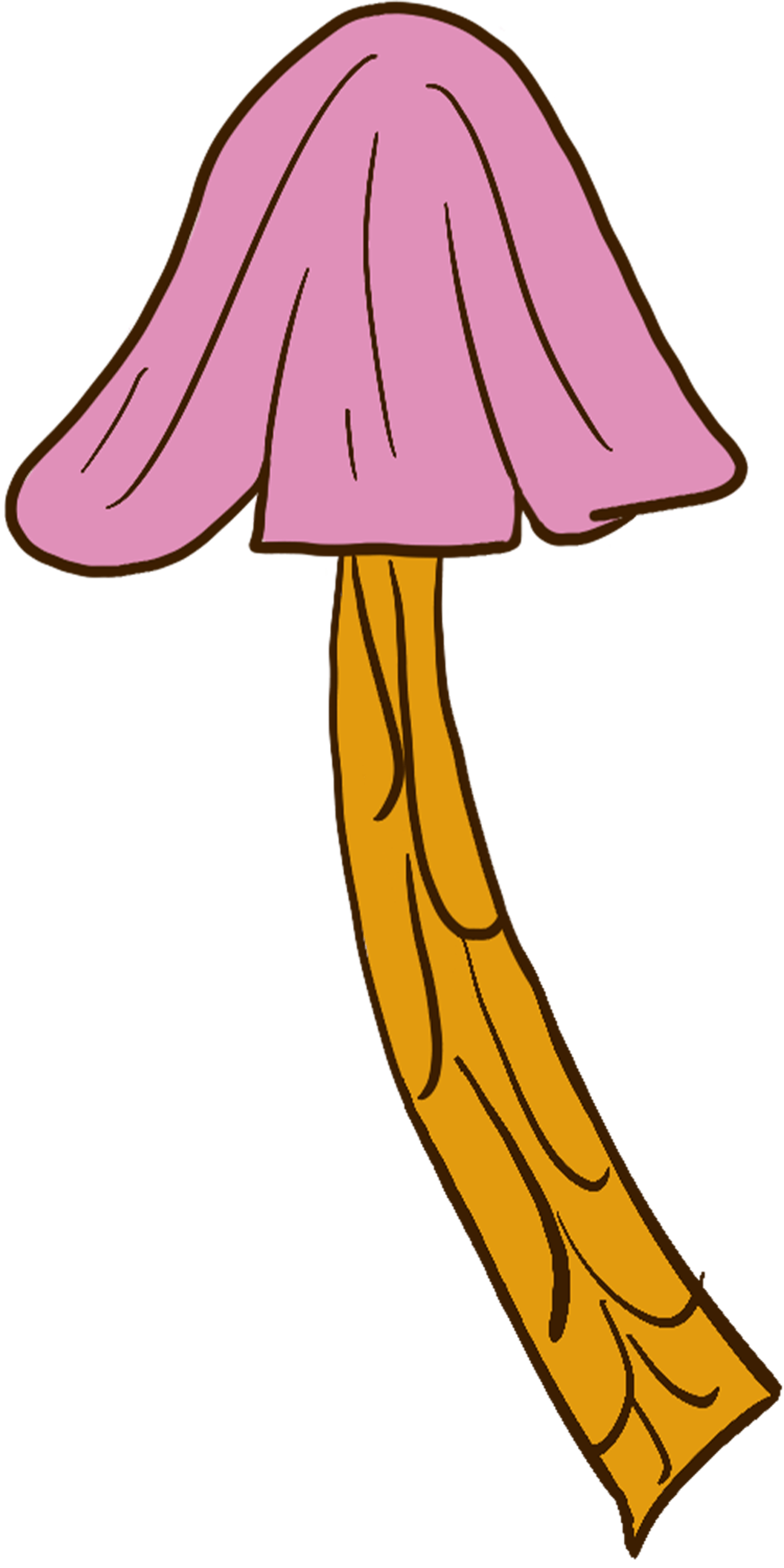 Pink Shroomies