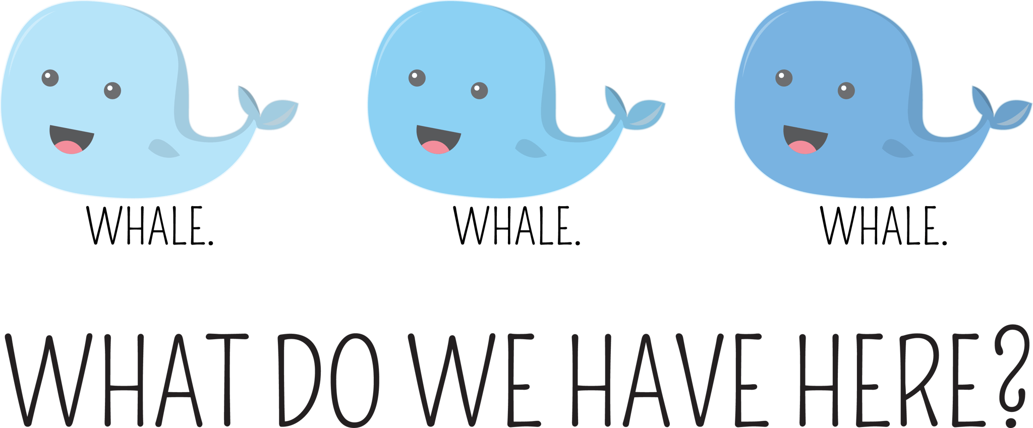 Whale Whale Whale