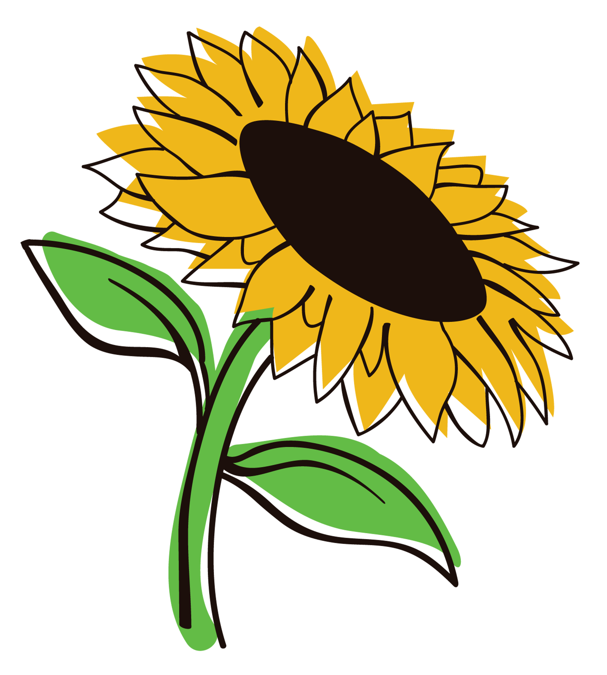 Aesthetic Sunflower