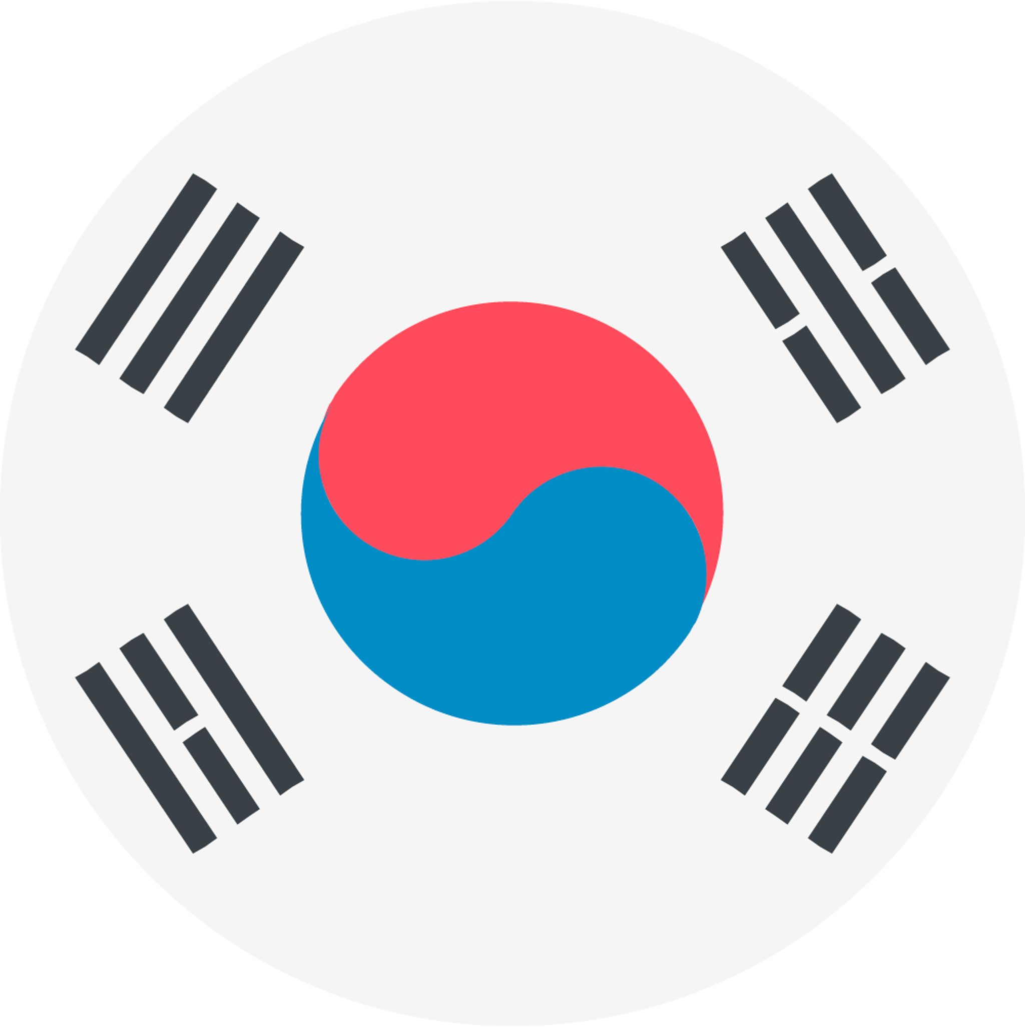 South Korea Flag