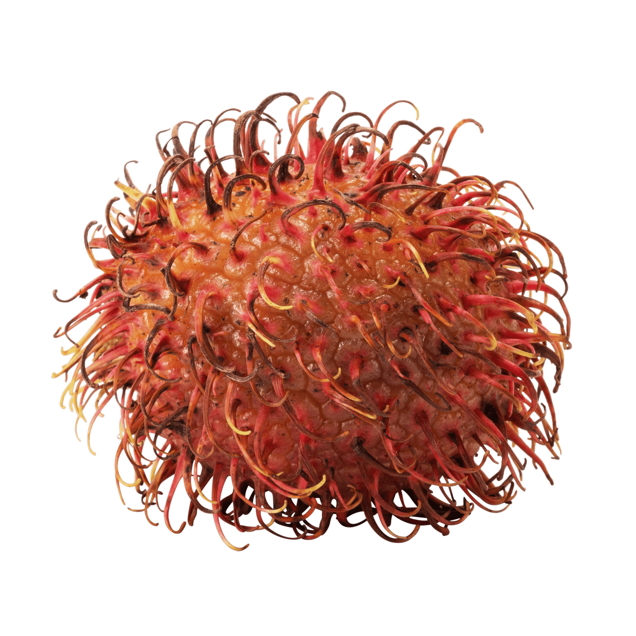 Rambutan Whole