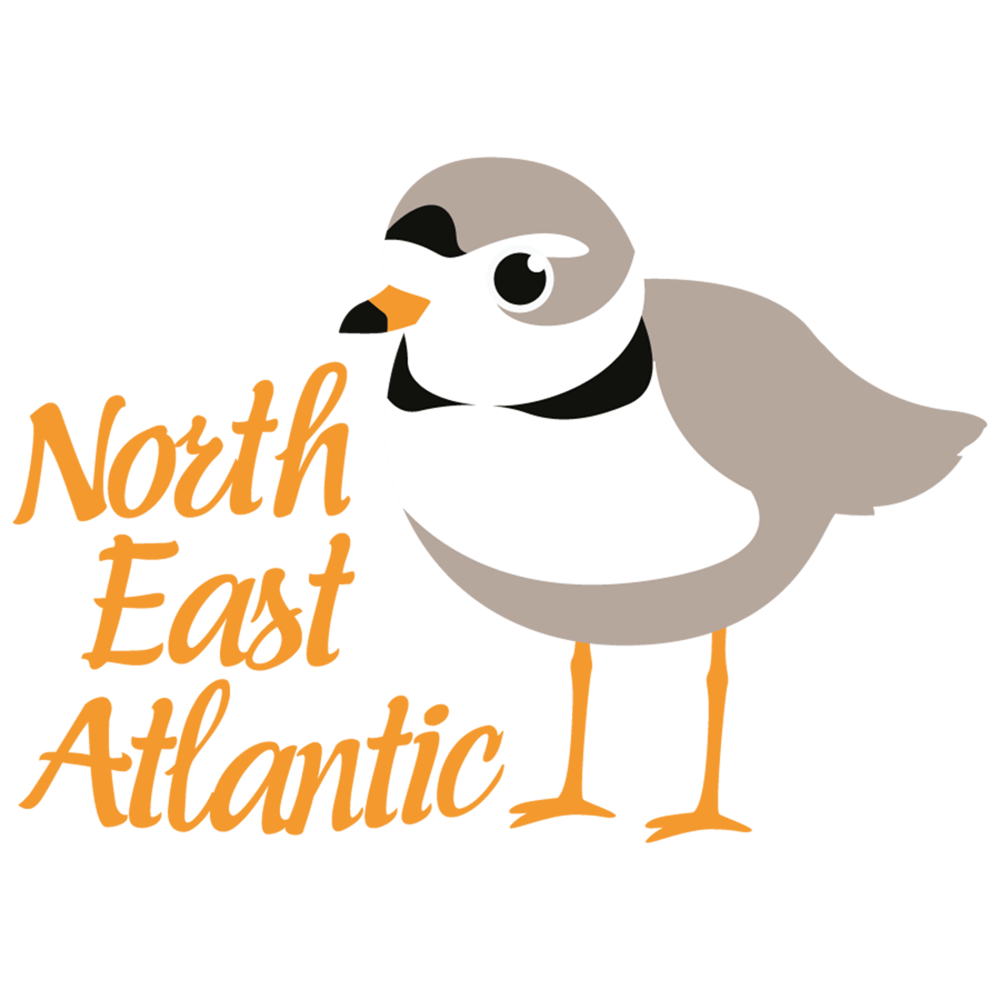North East Atlantic
