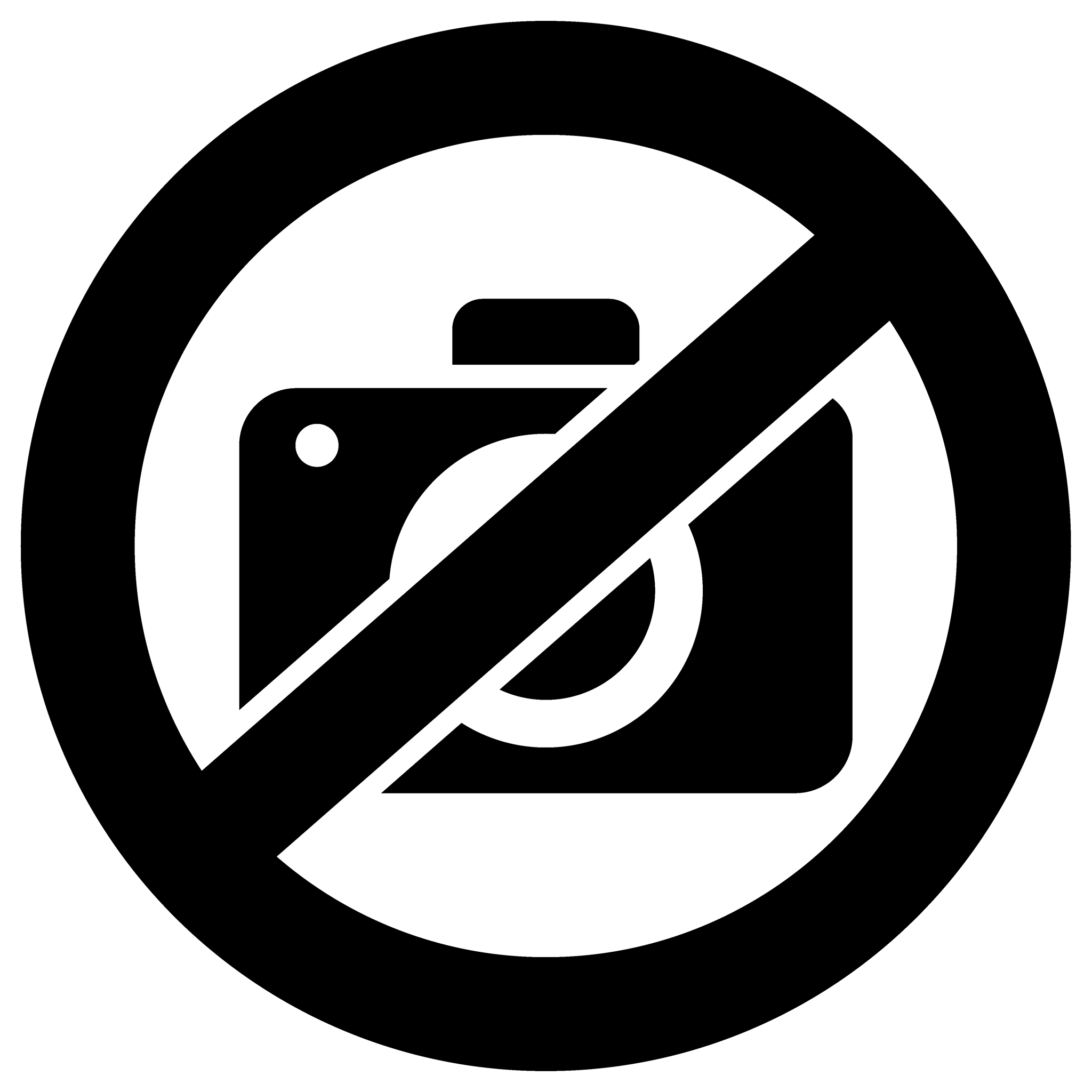 No Camera Icon