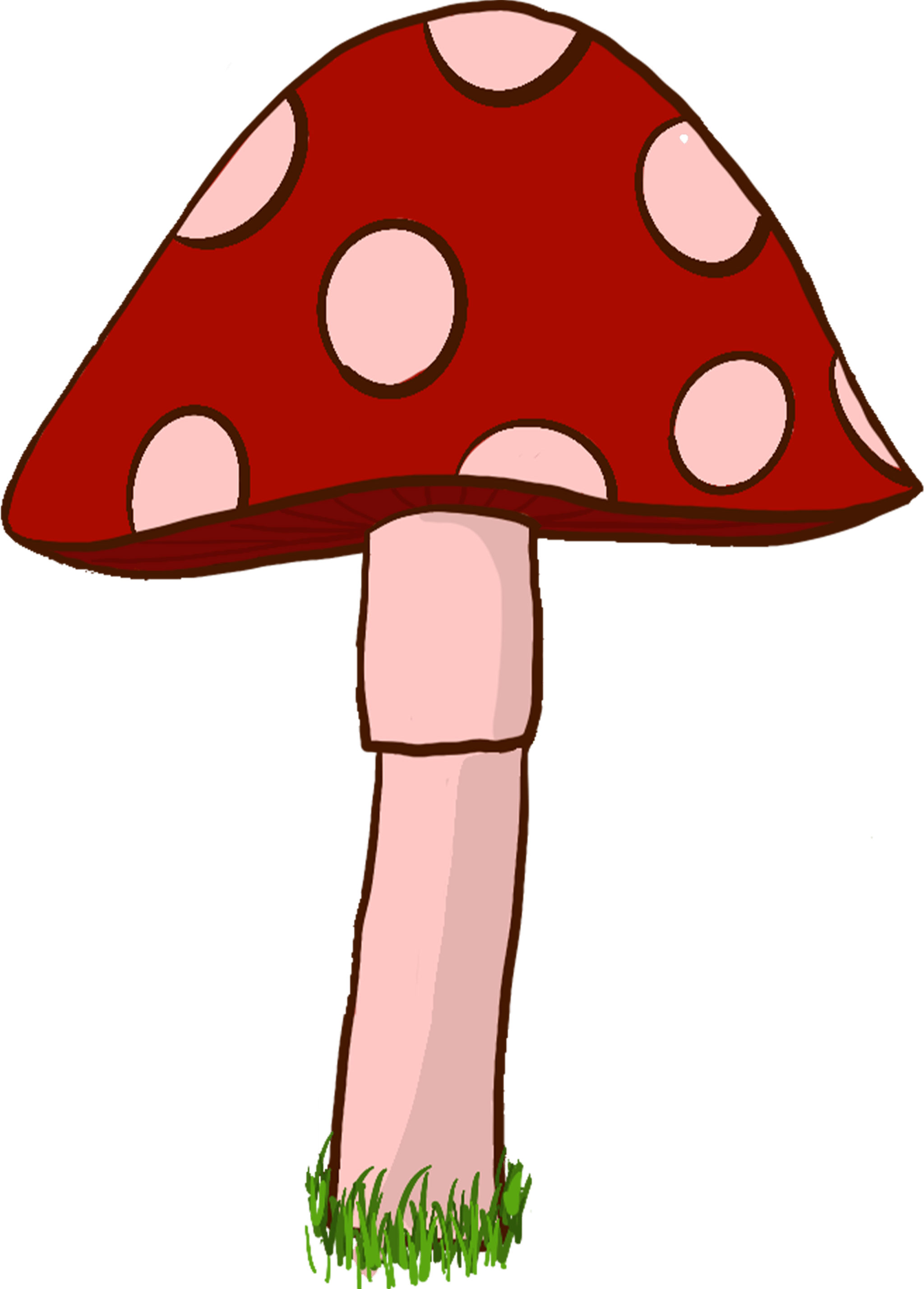 Red Mushroom