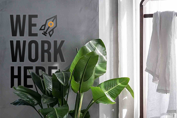 Business decal on an indoor wall