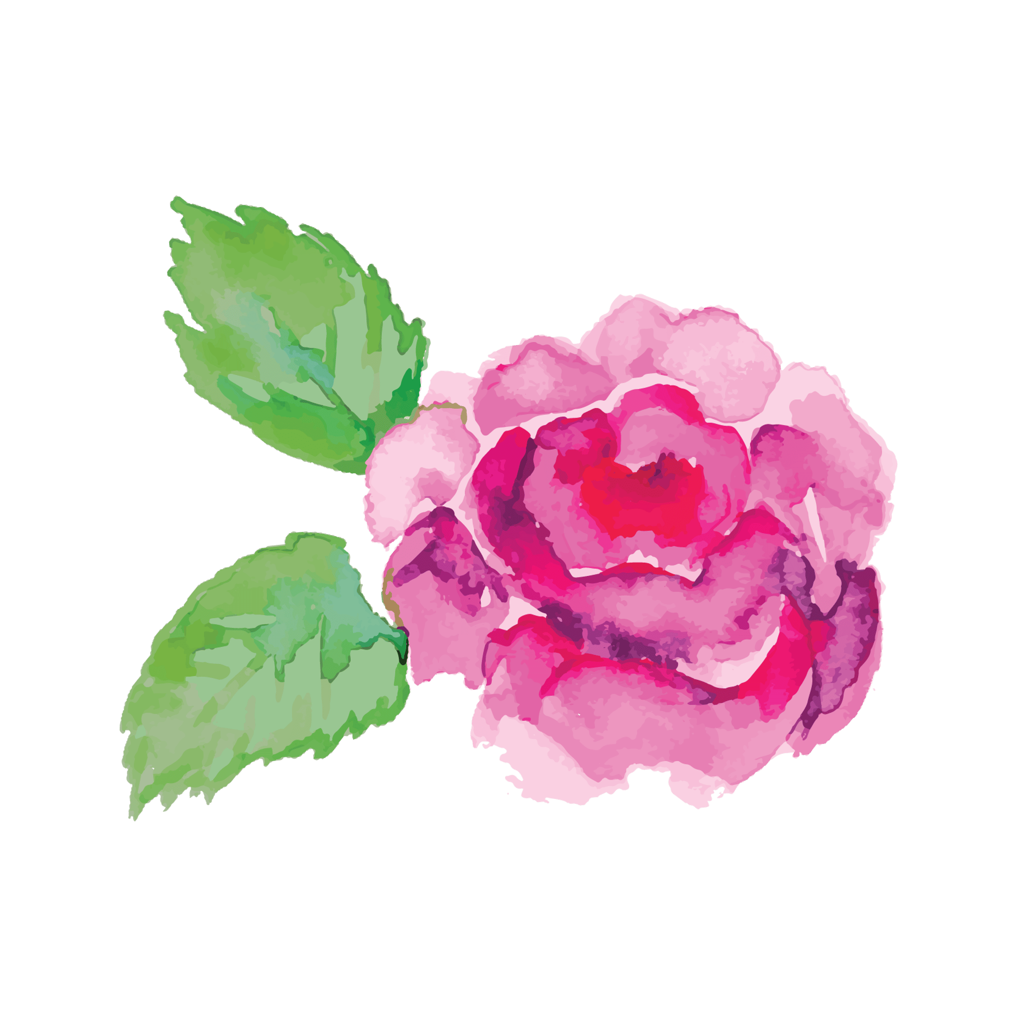 Watercolor Flower and Leaves