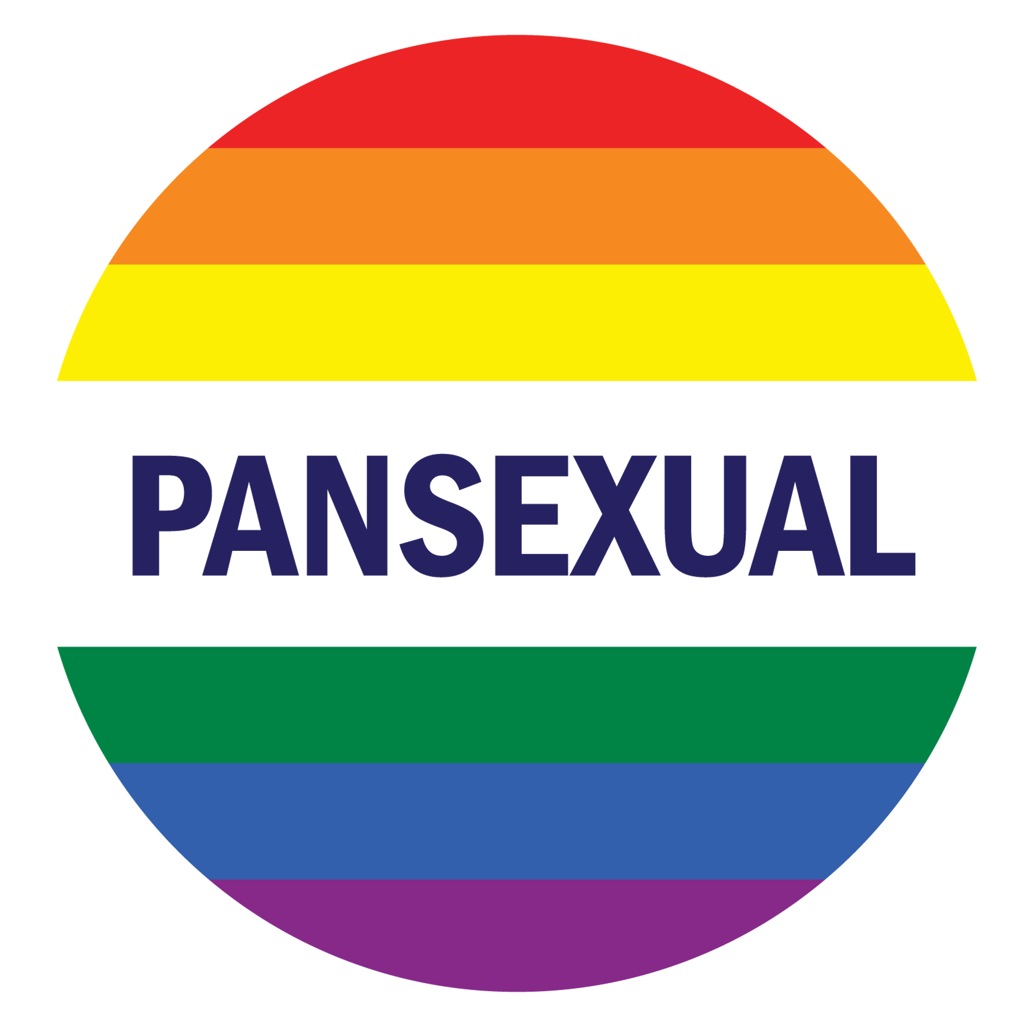 Rainbow Pansexual Pride