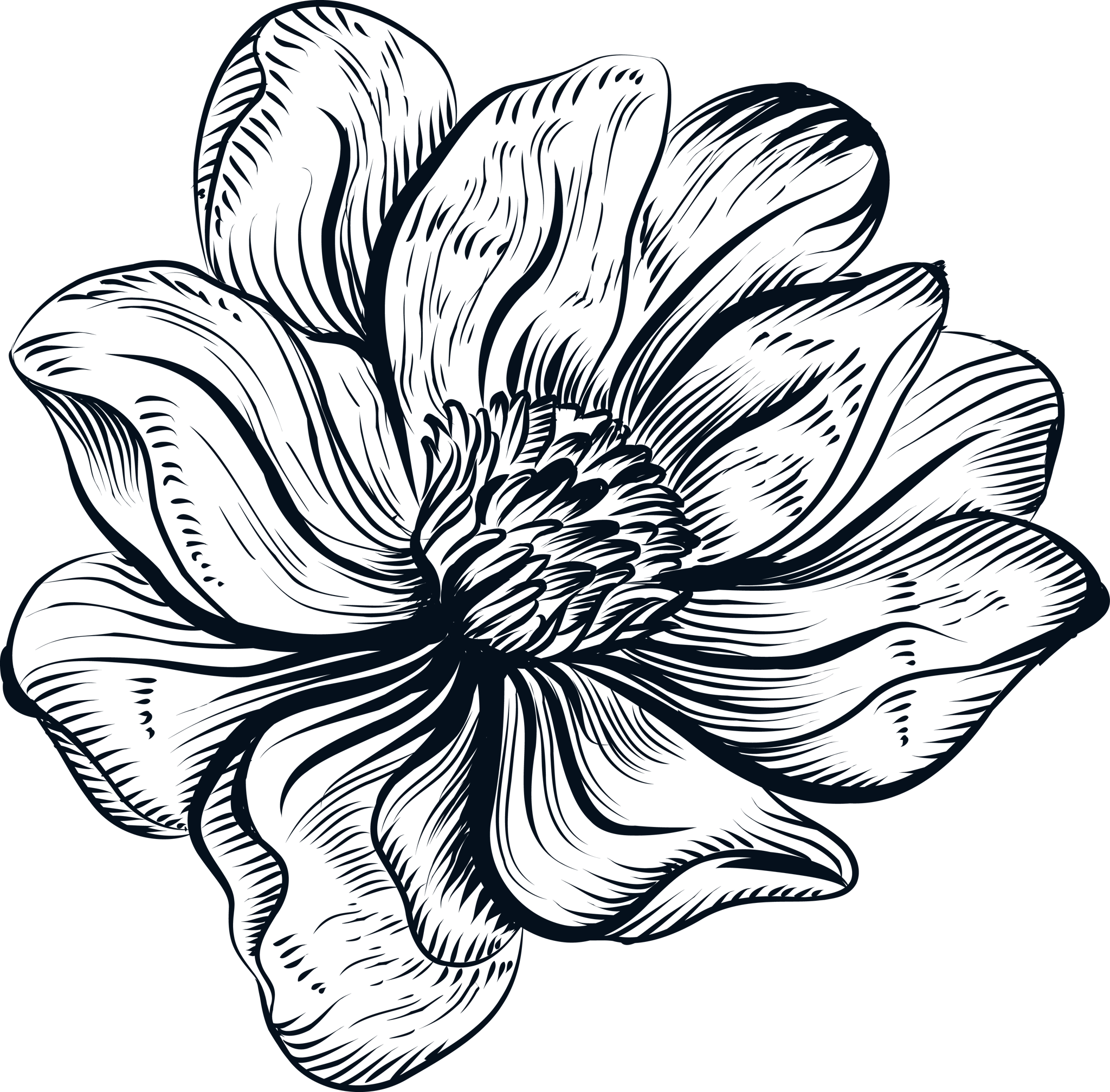 Ink Line Flower Front