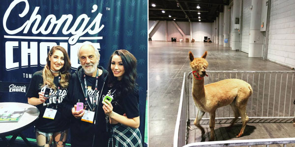 StickerYou at TPE 2017