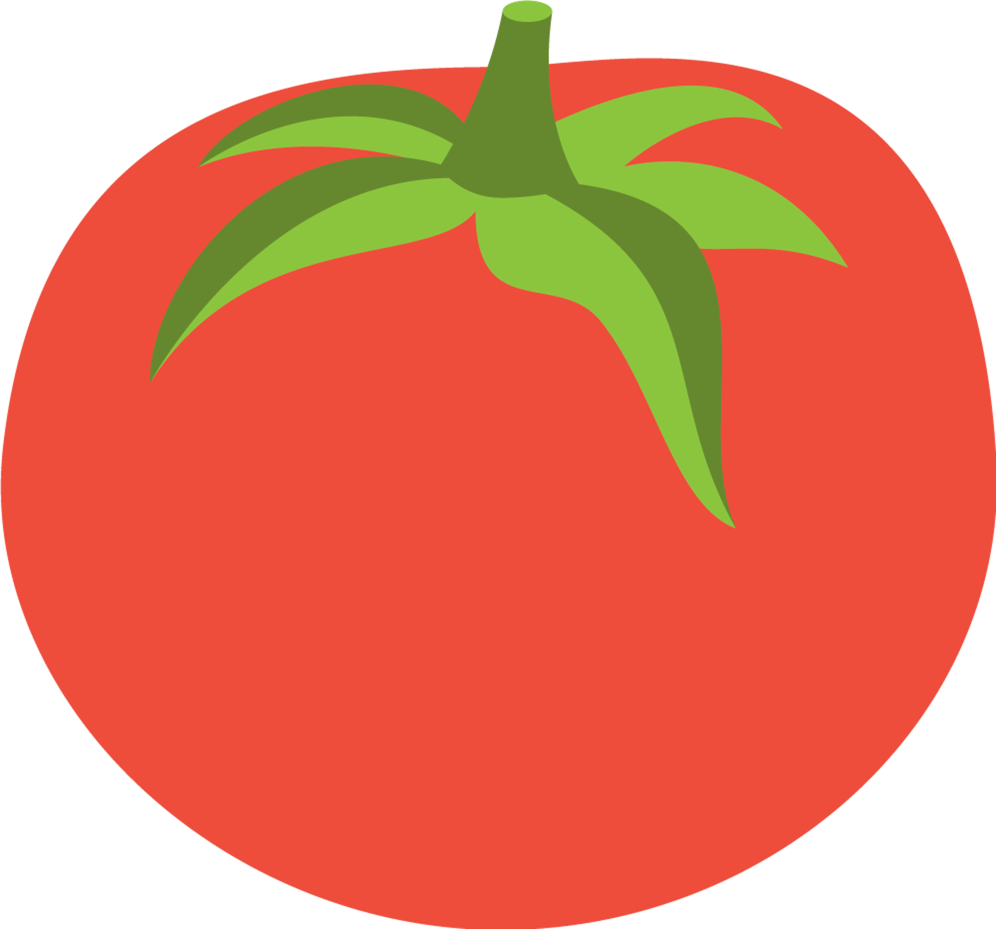 Tomato