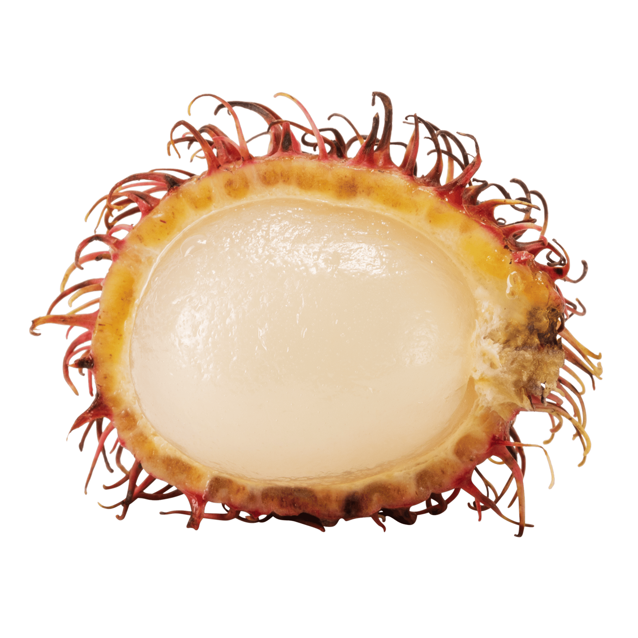 Rambutan Halved