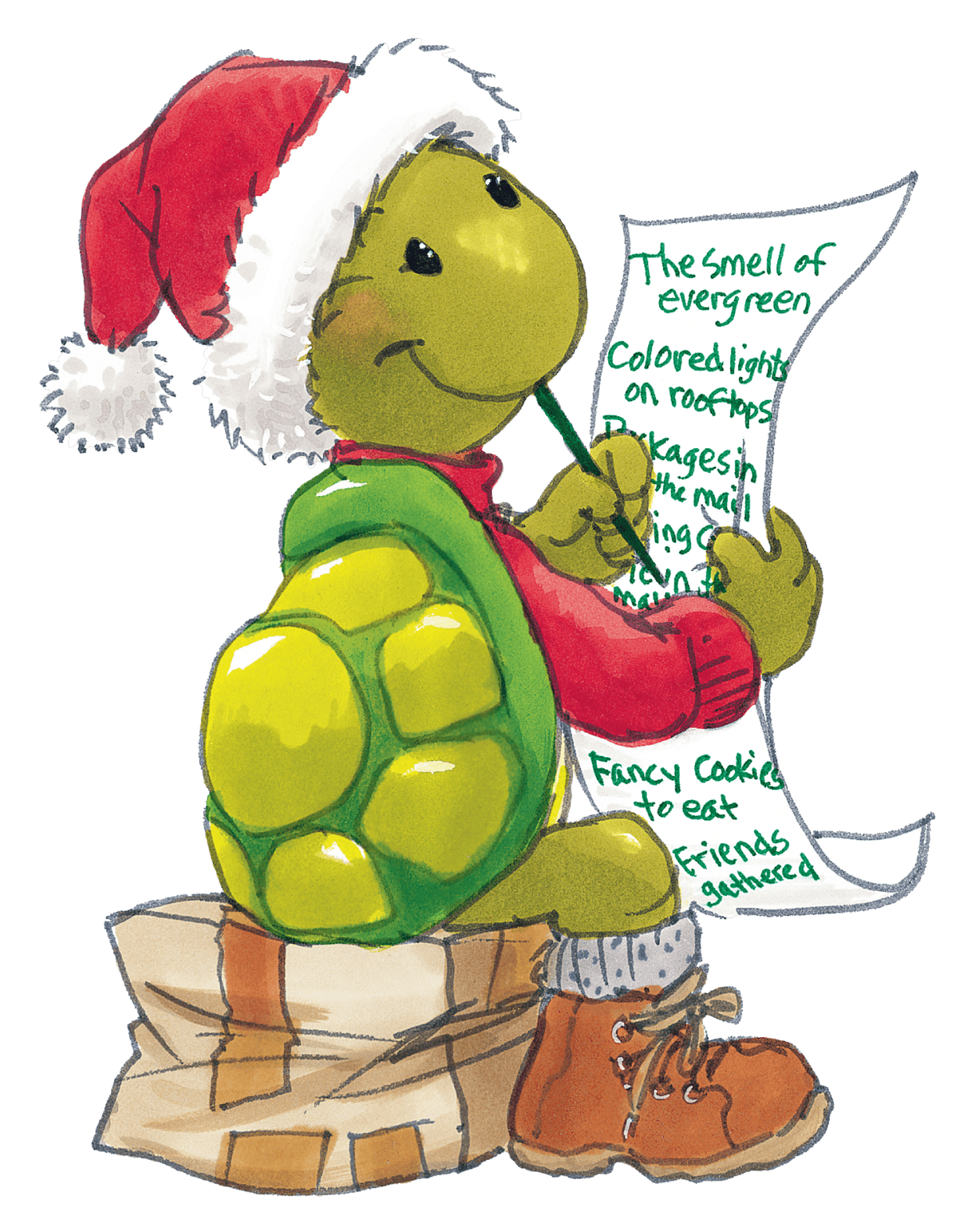 Christmas Turtle