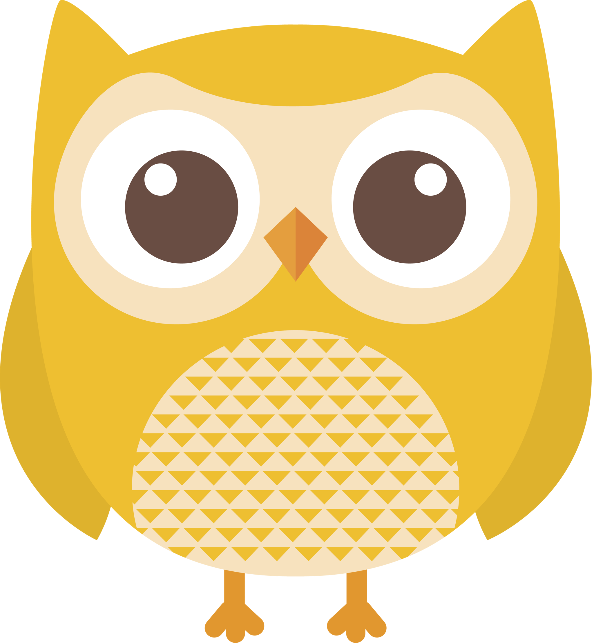Cute Owl