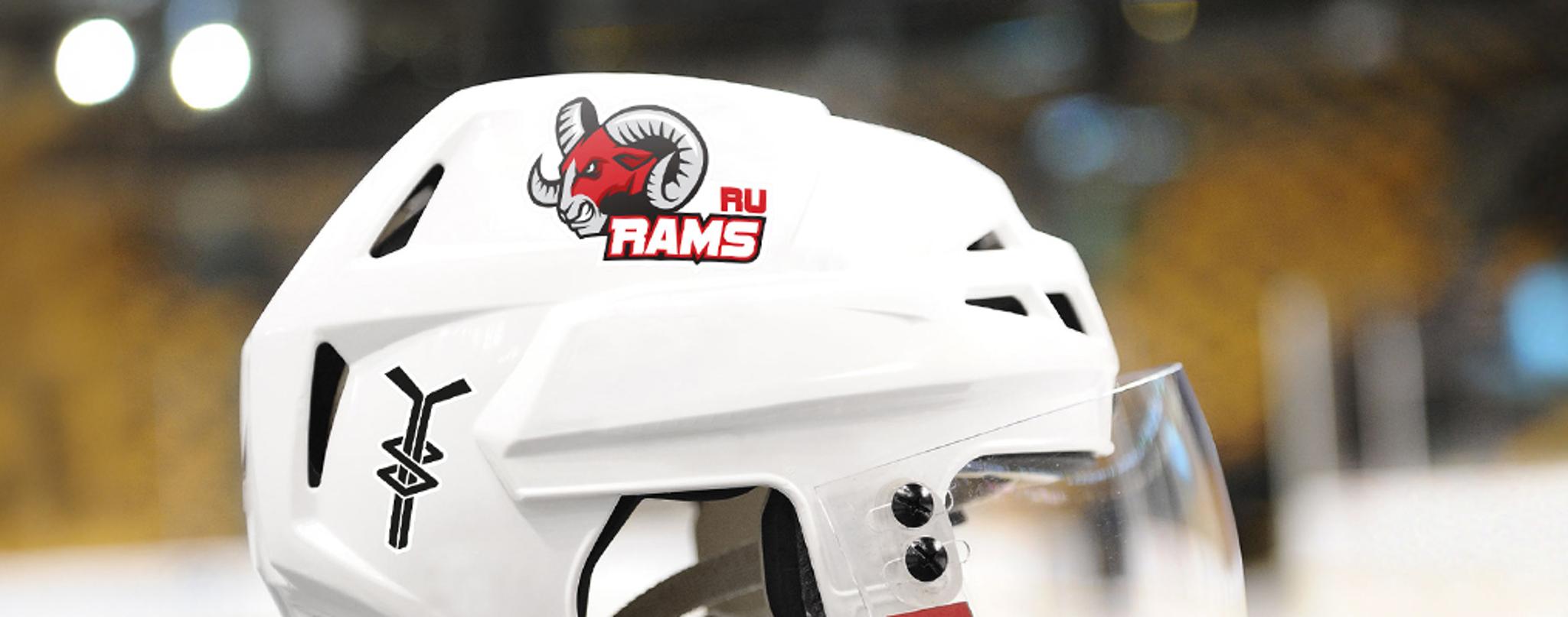 Sports & Helmet Stickers