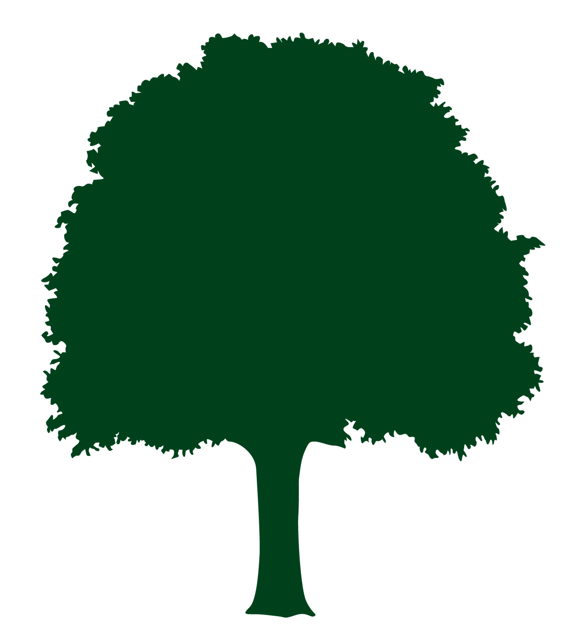 Big Tree