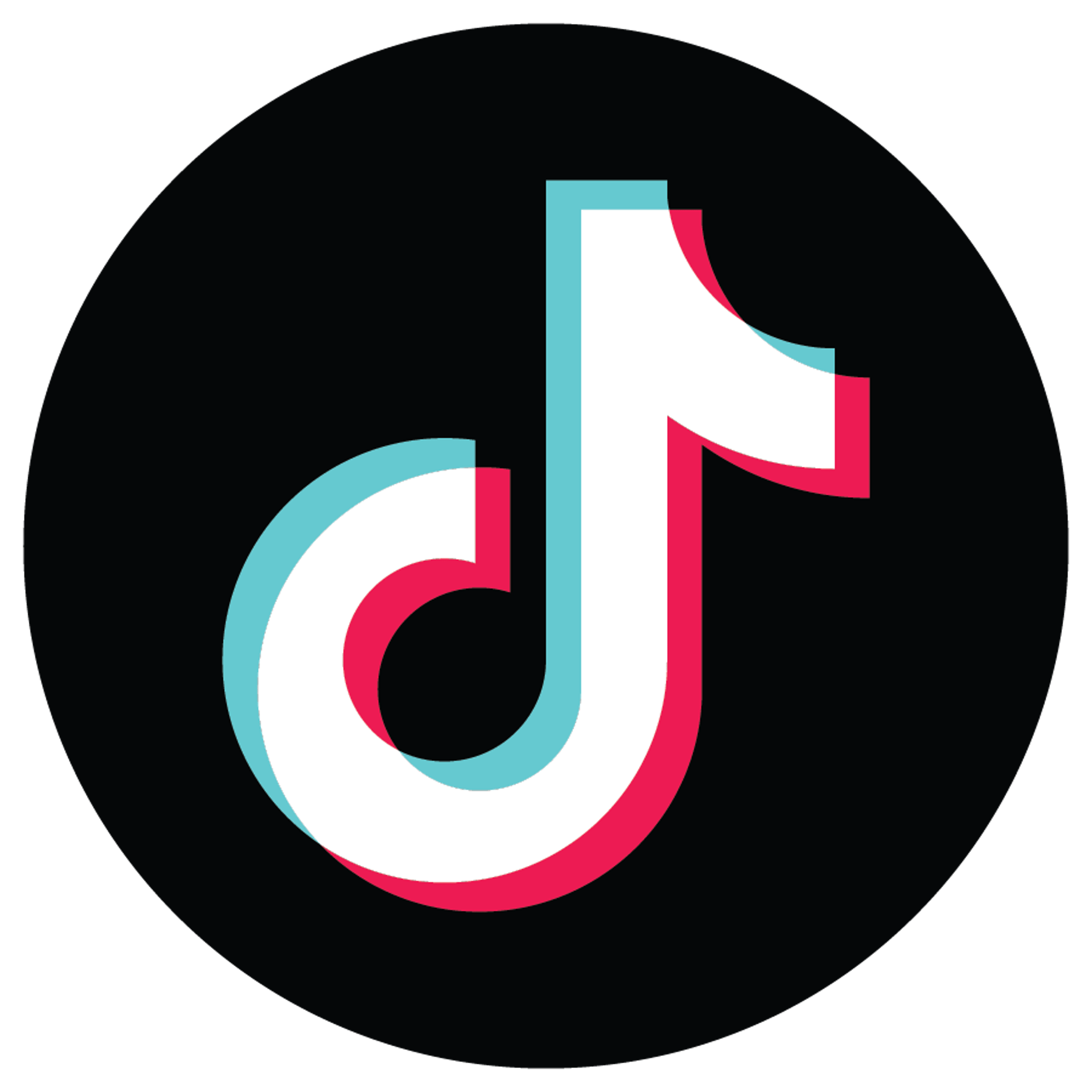 TikTok Colored Circle