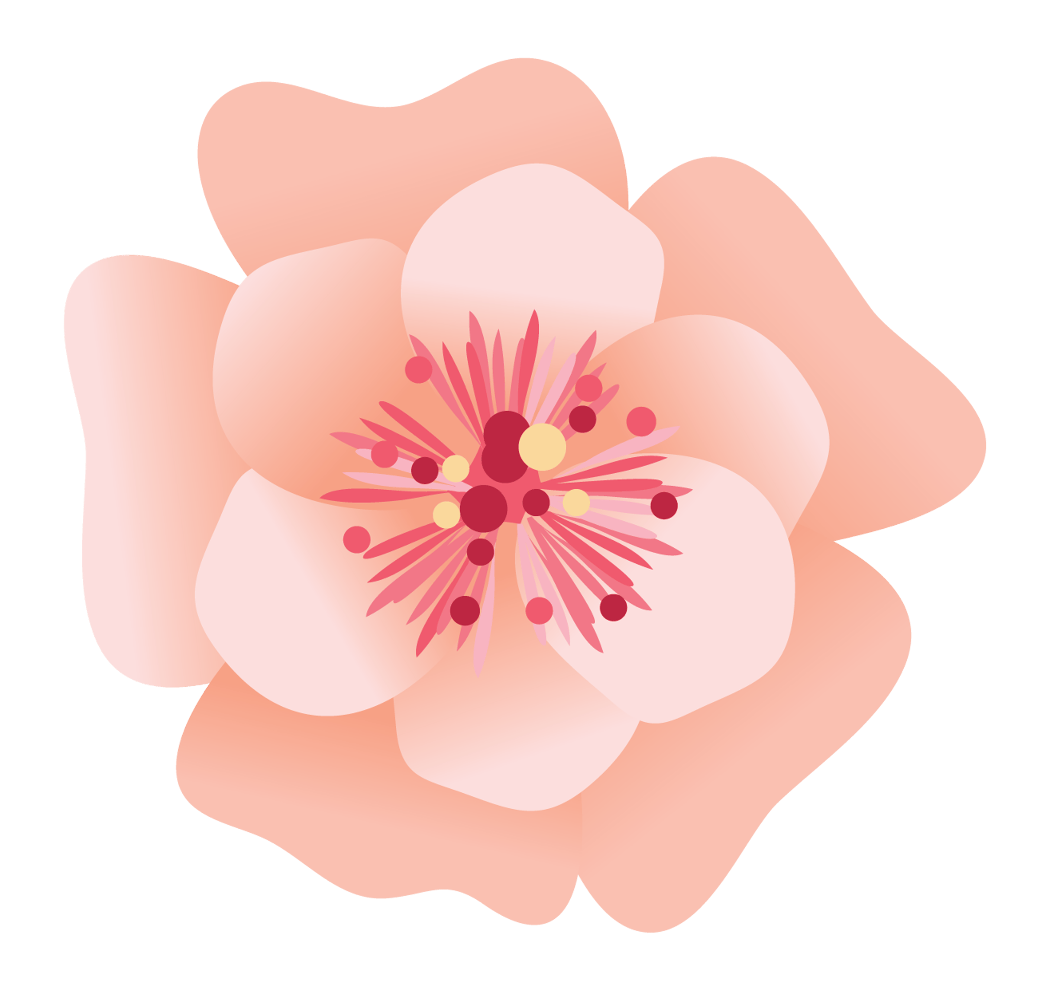 Peach Petal Flower