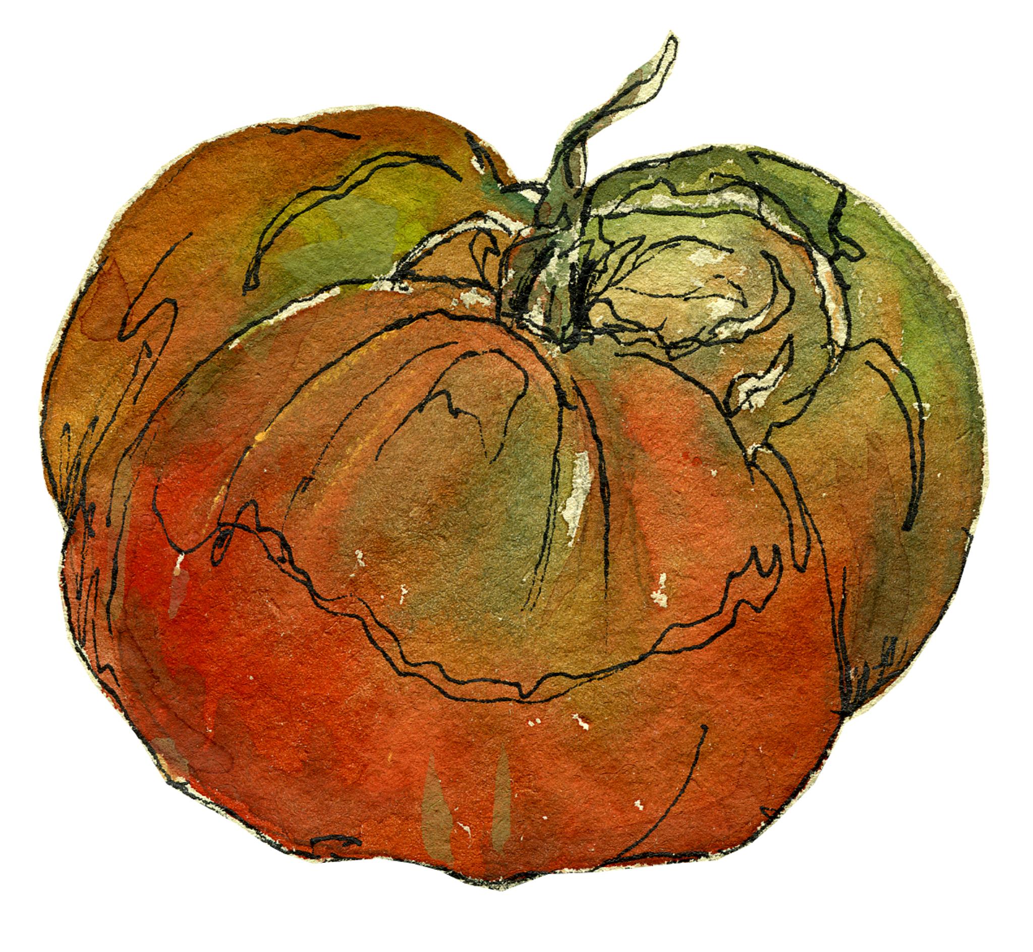 tomato1.jpg