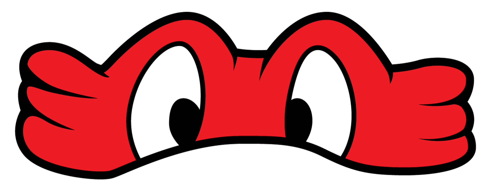Cartoon Ninja Mask