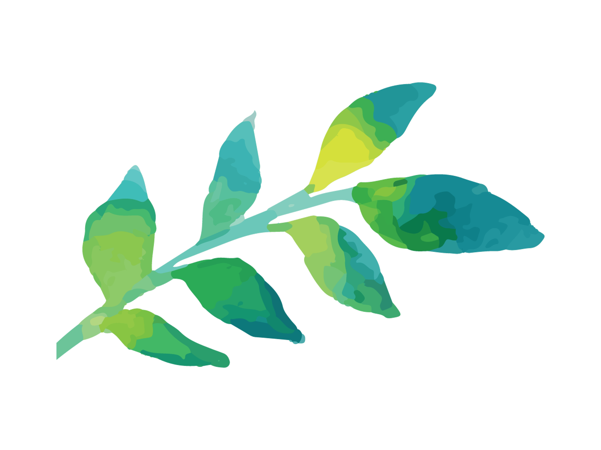 Green Watercolour Leaf