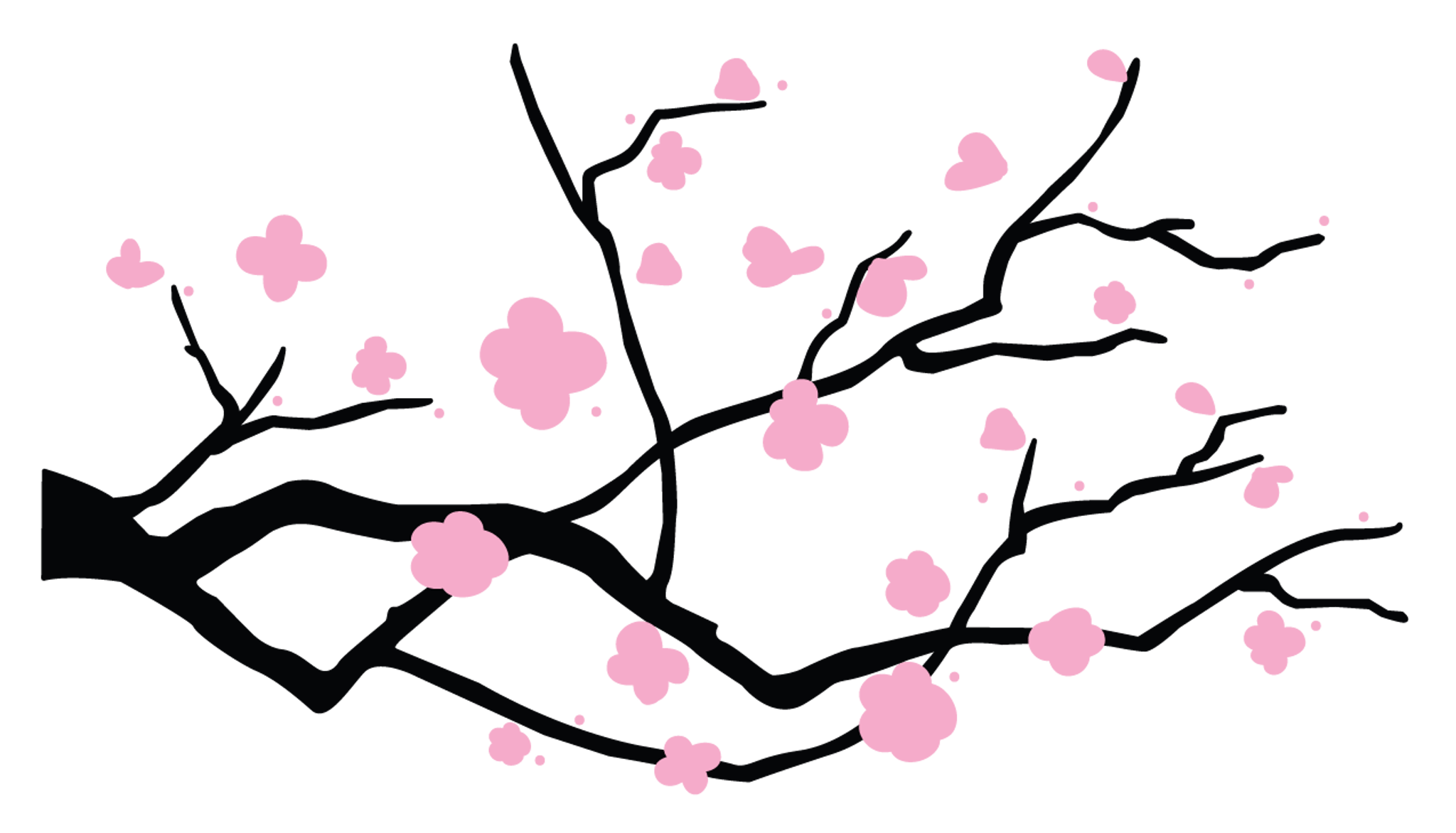Cherry Blossom Flowers