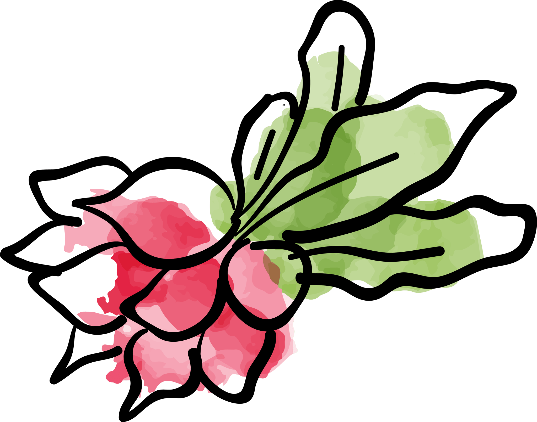 Beets