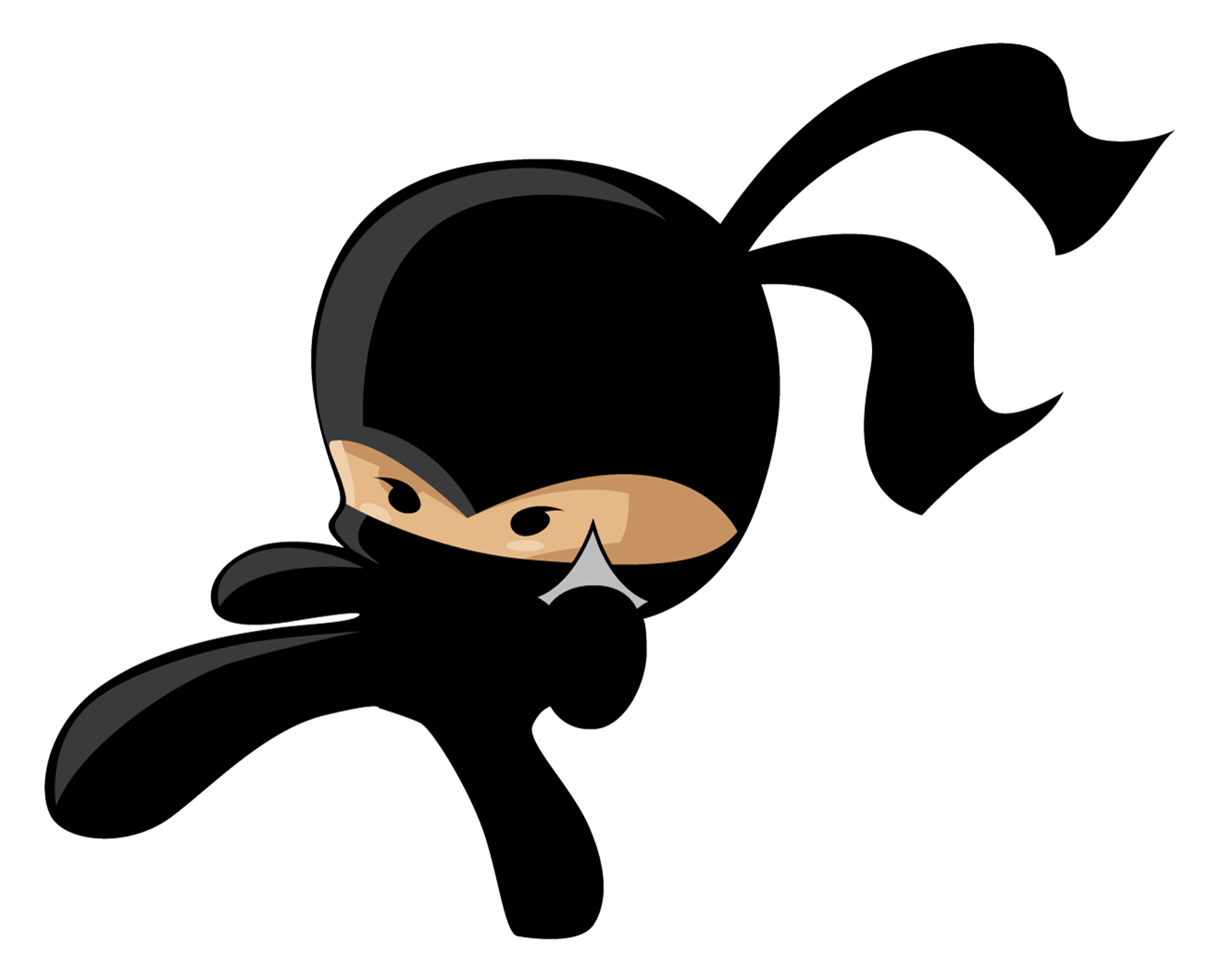 Ninja
