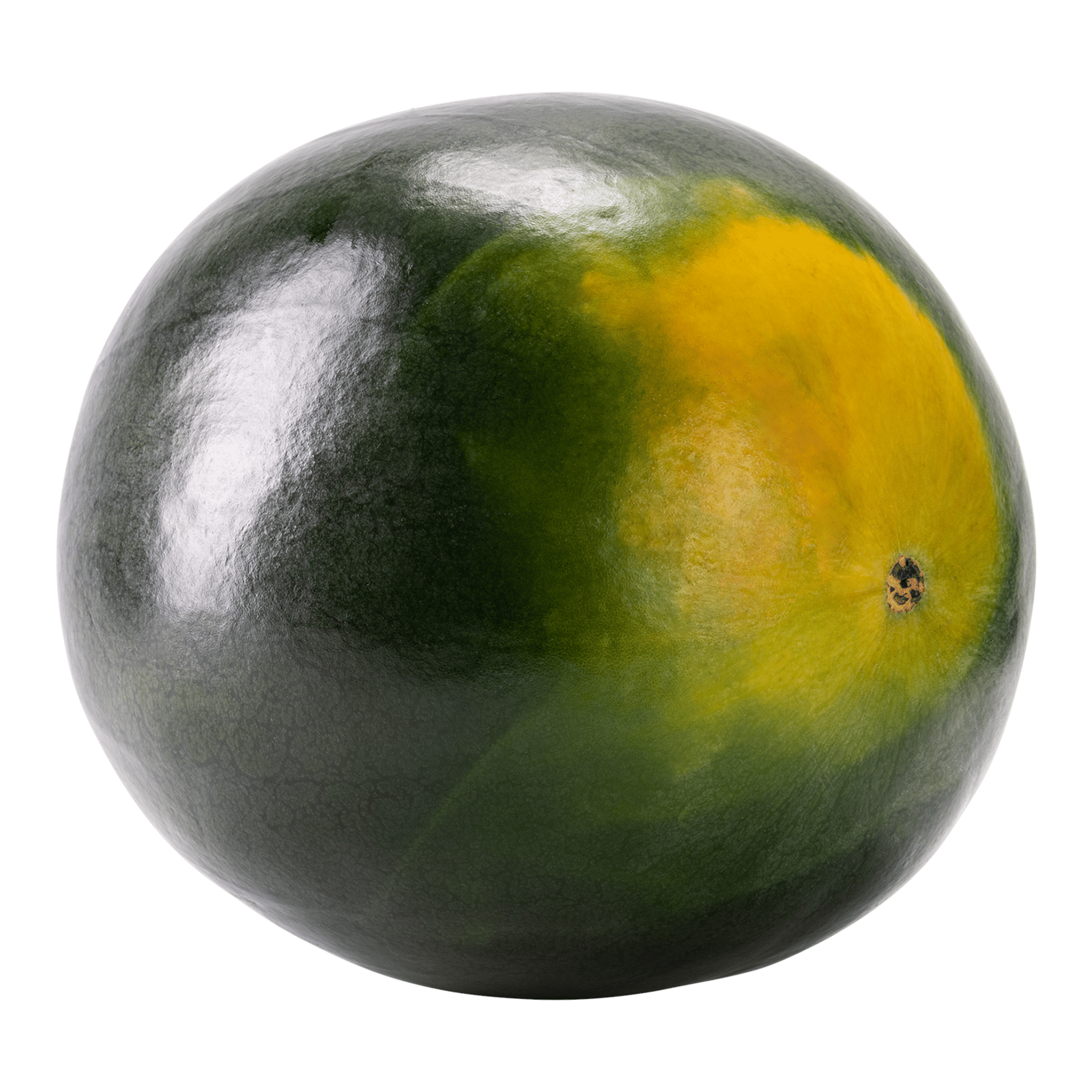 Watermelon Whole 2