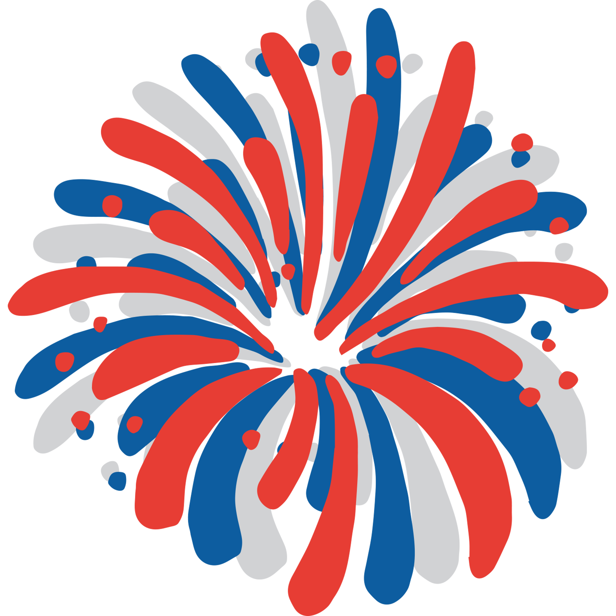 USA FireWorks