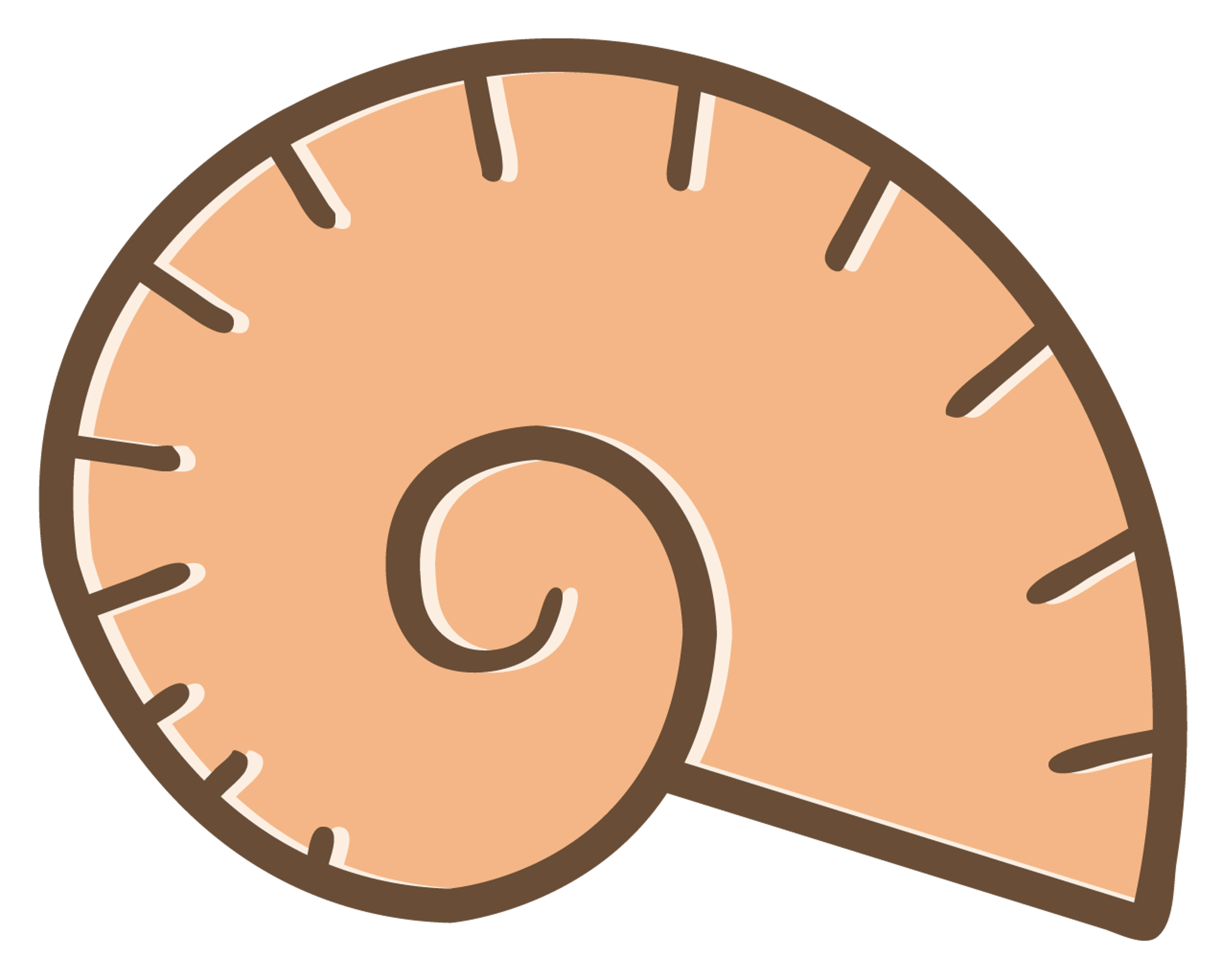 Snailshell 2