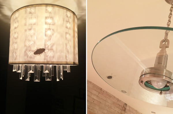 StickerYou Clear Bug Sticker Lighting April Fools Prank