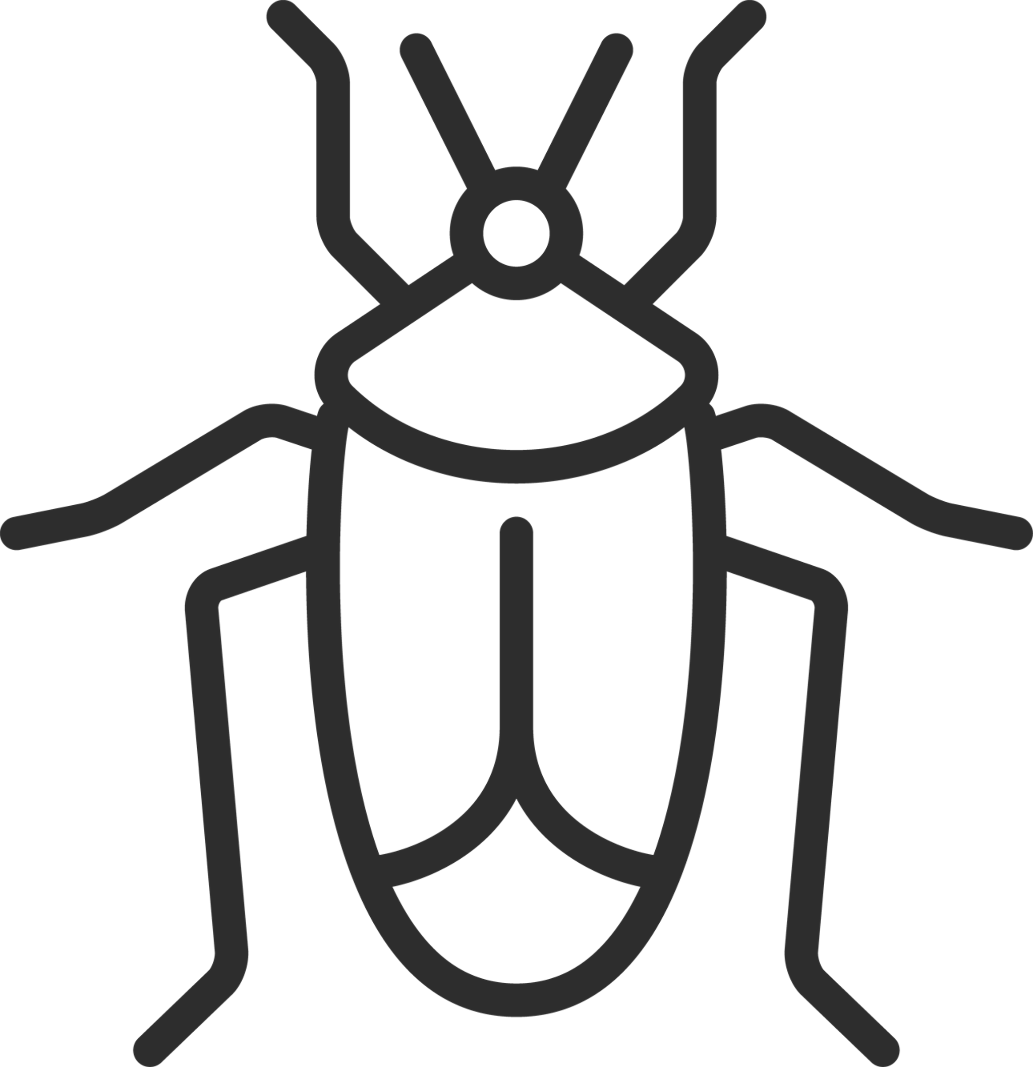 Beetle