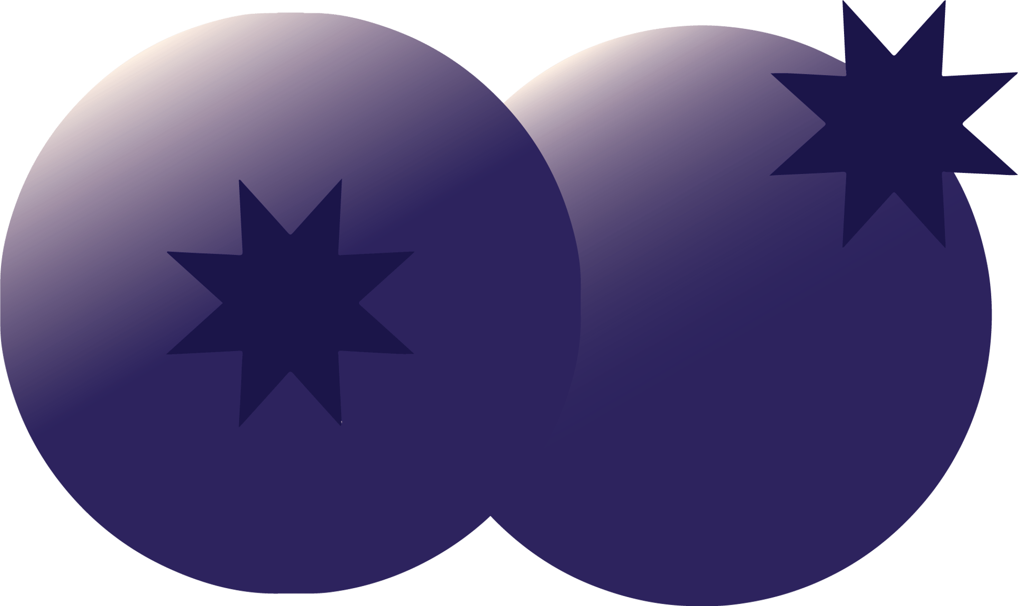 Blueberry Style 2