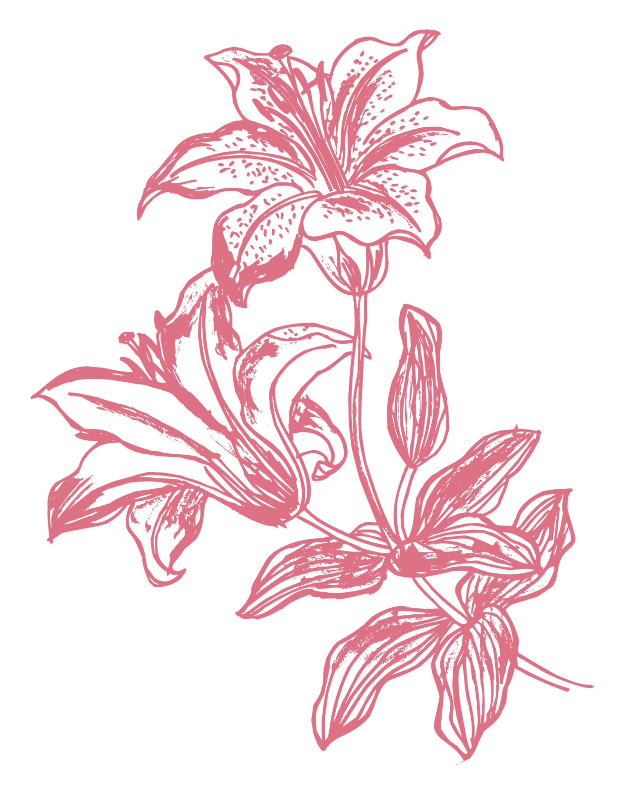 Pink Ink Flower Branch
