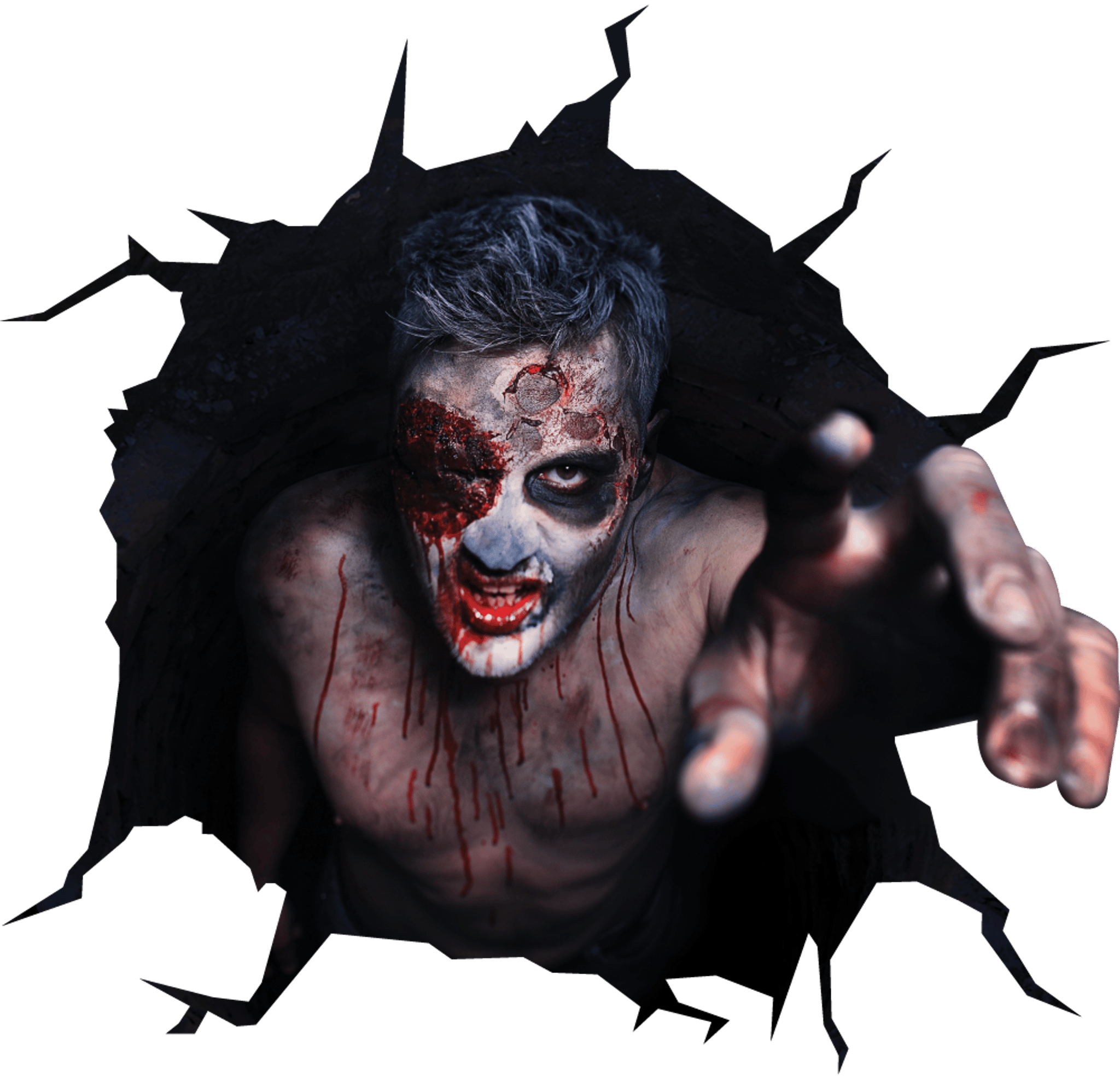 Zombie Costume