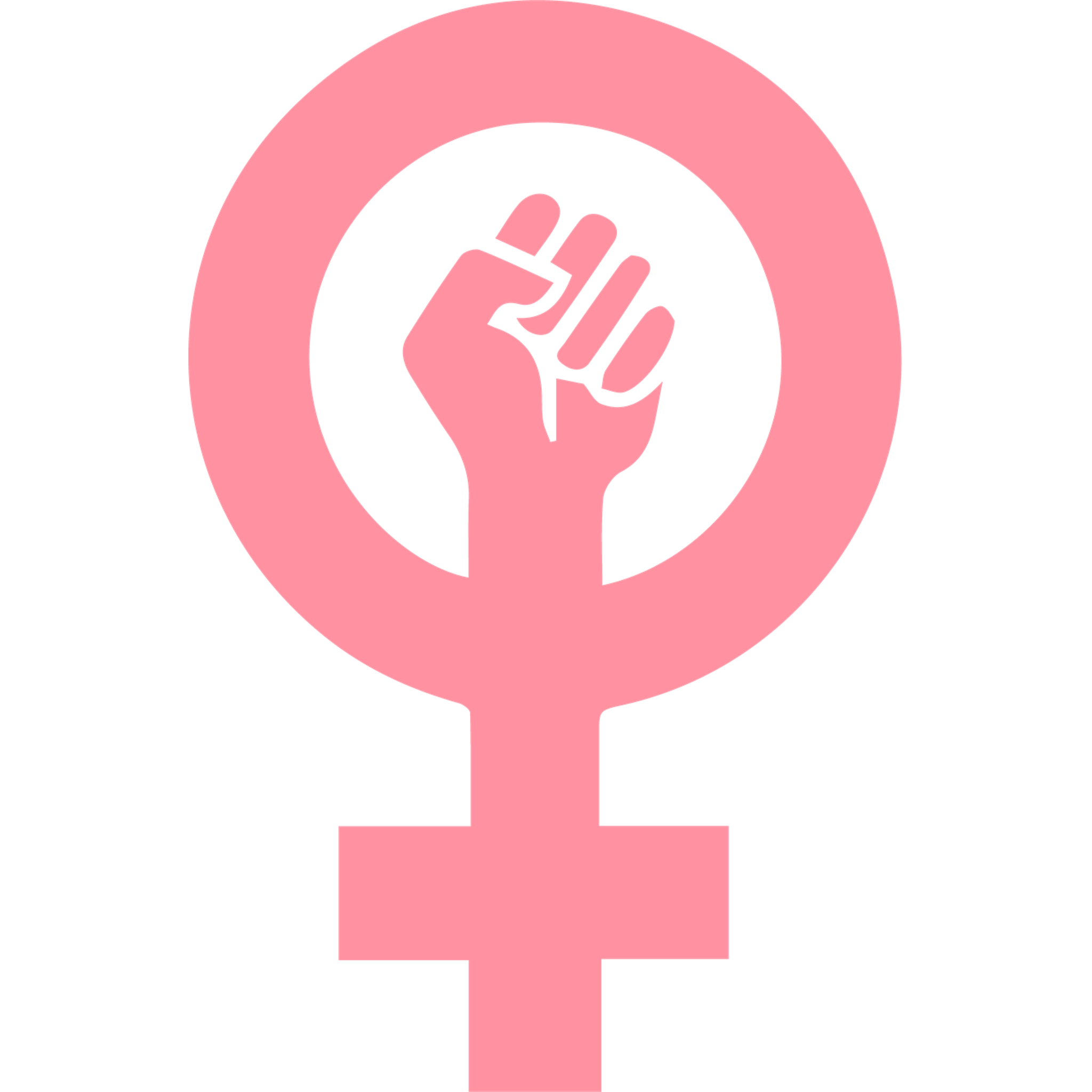 Feminism003.pdf