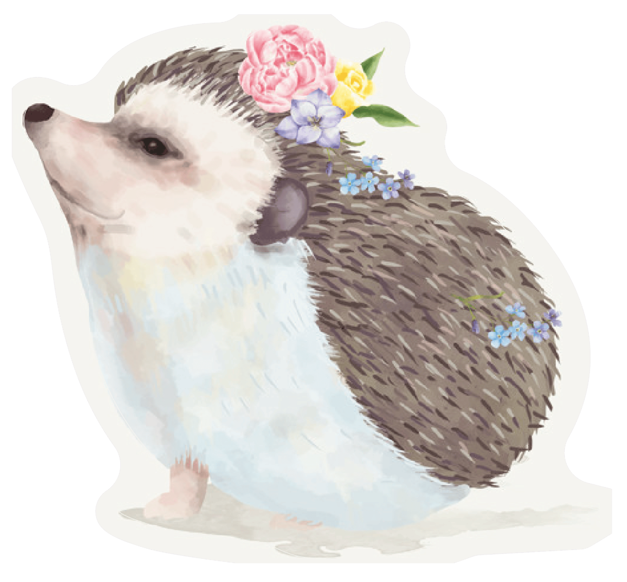 Hedgehog