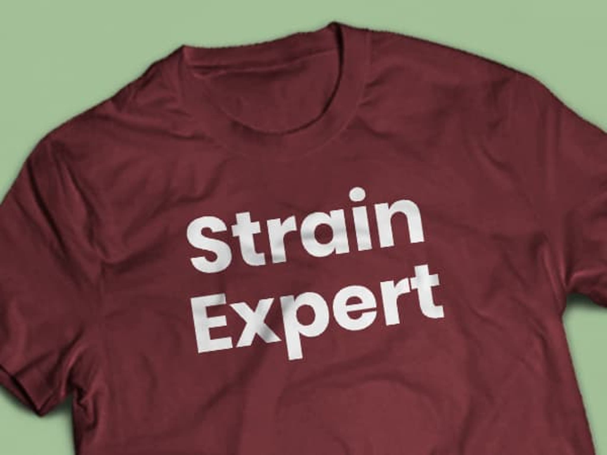 Iron-On Lettering Transfers