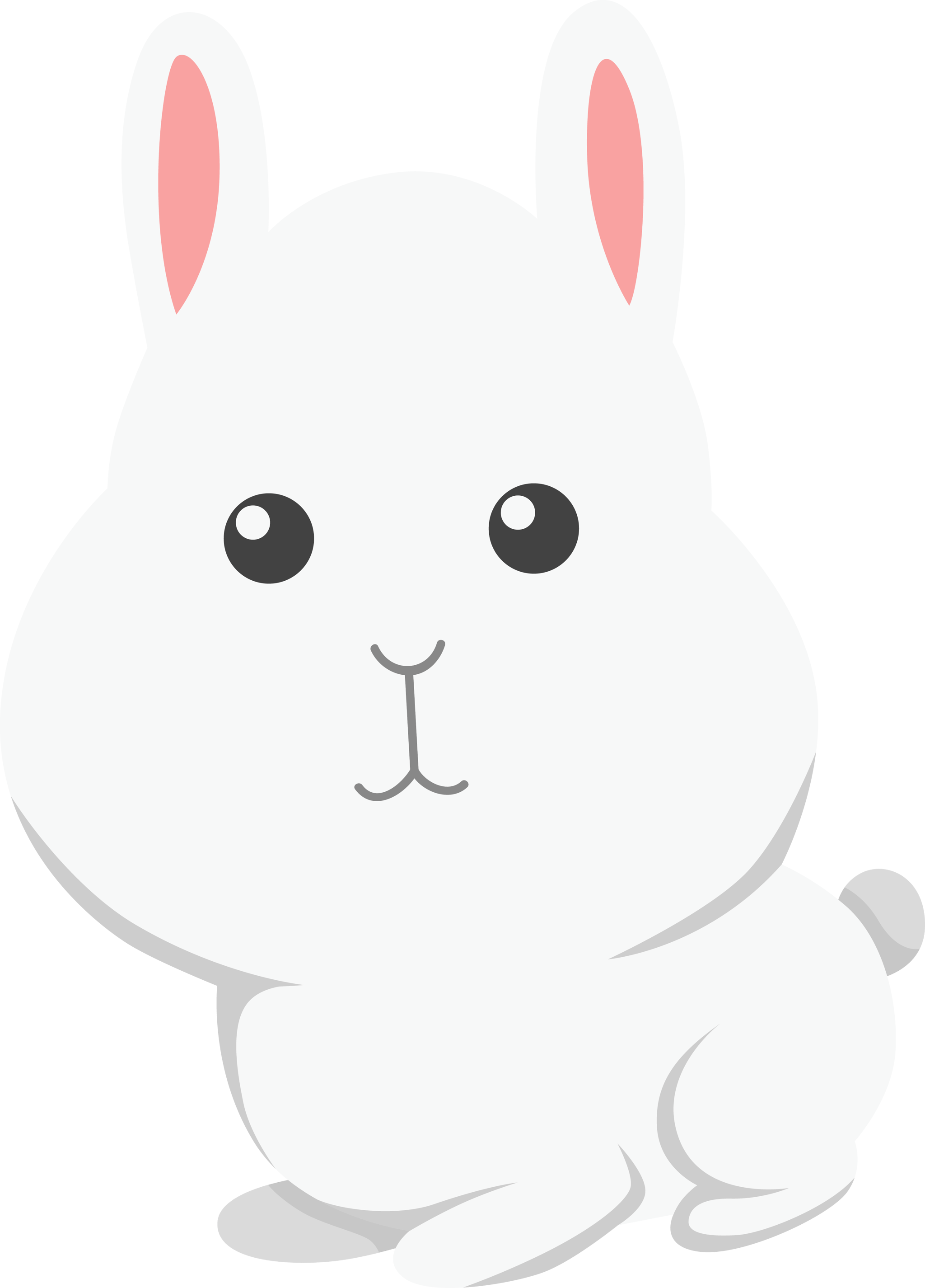 Cute Bunny