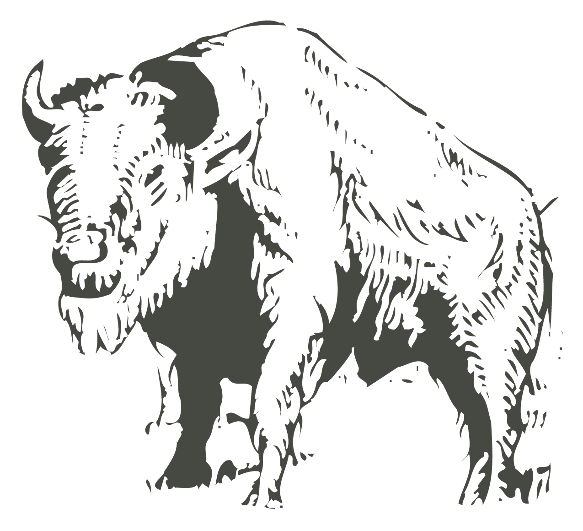 MP_Buffalo