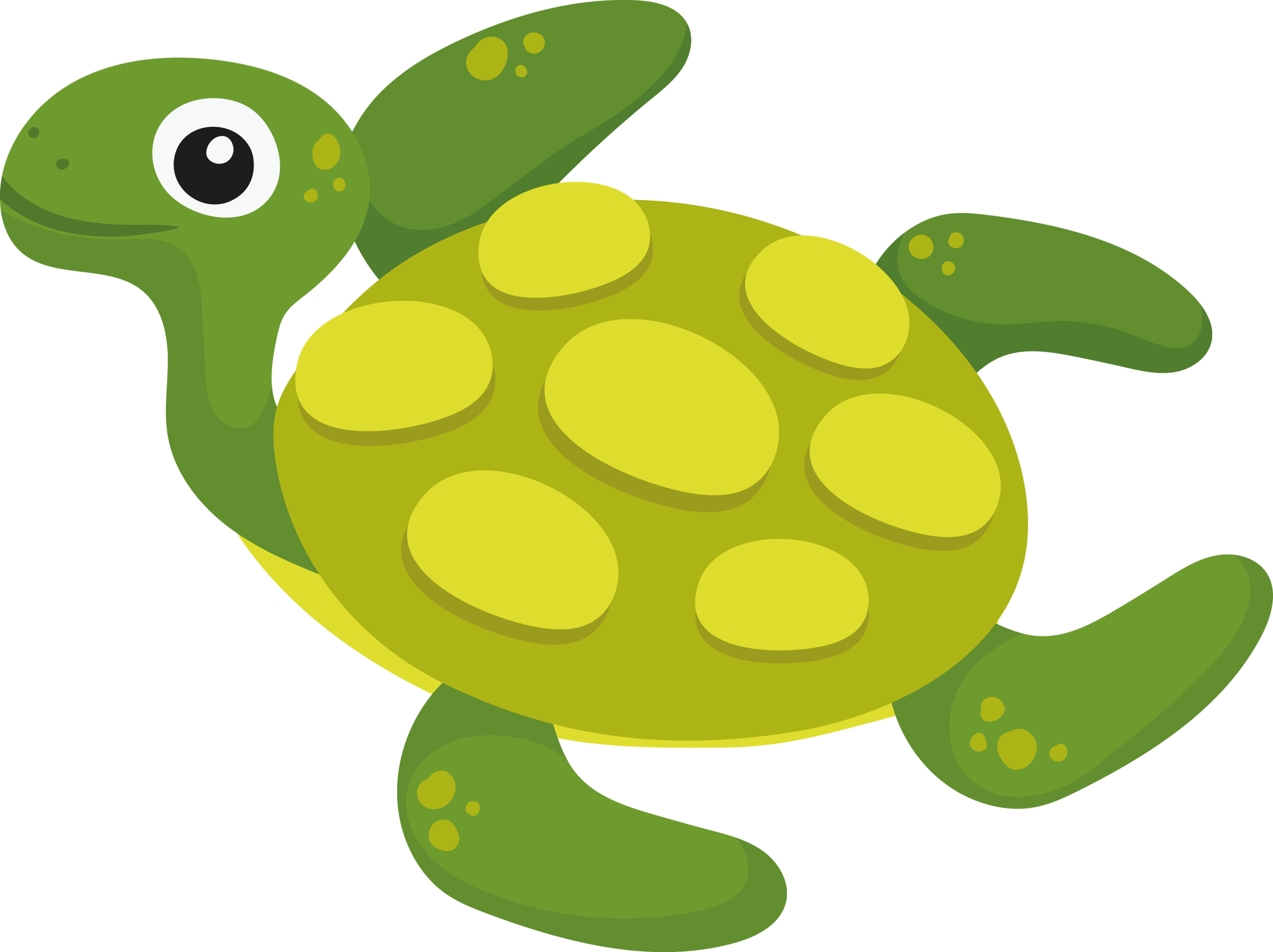 Turtle 2