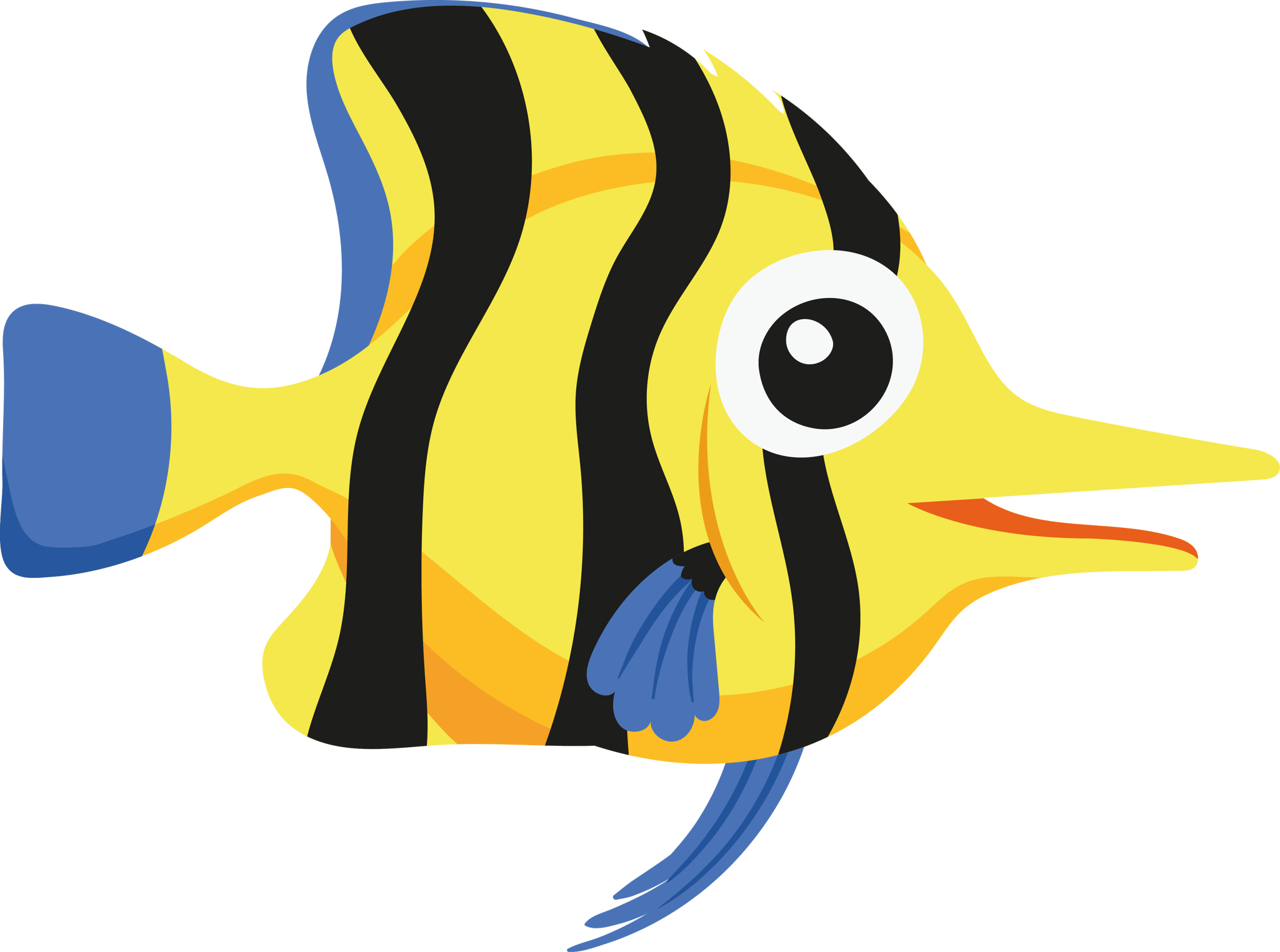 Fish 5