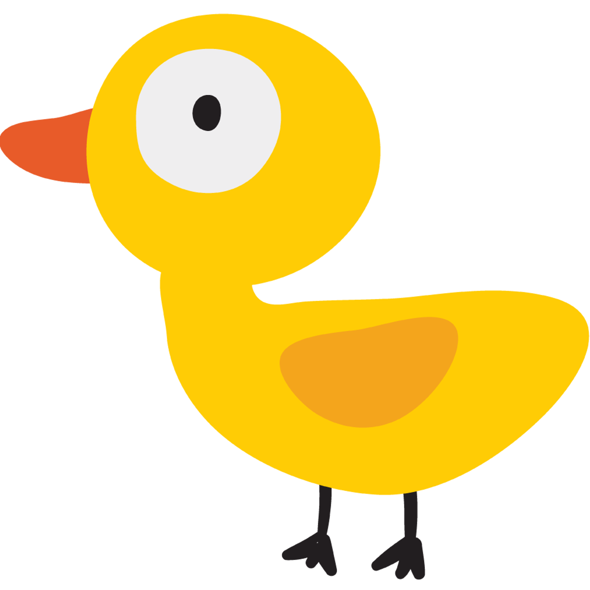 Duck