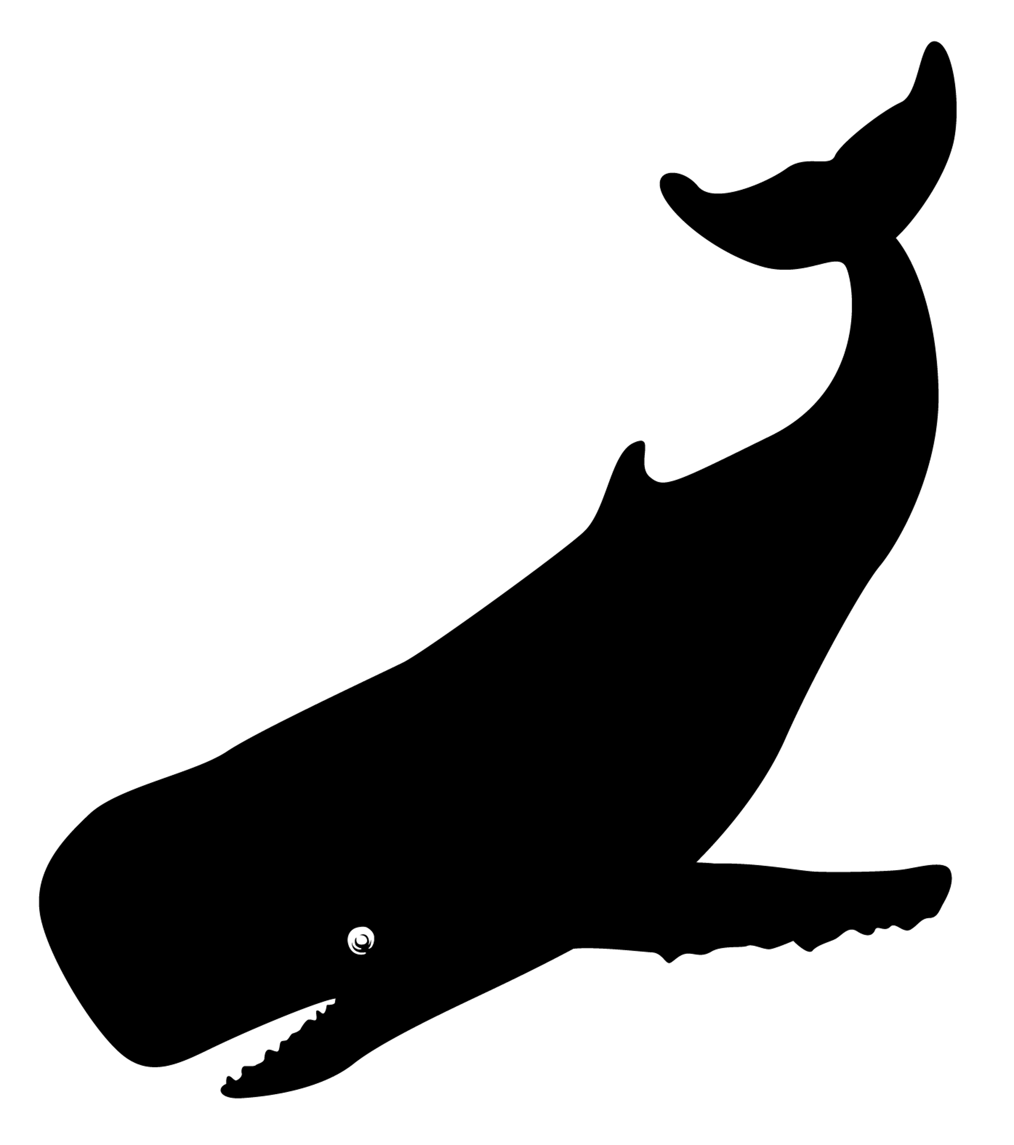 whale