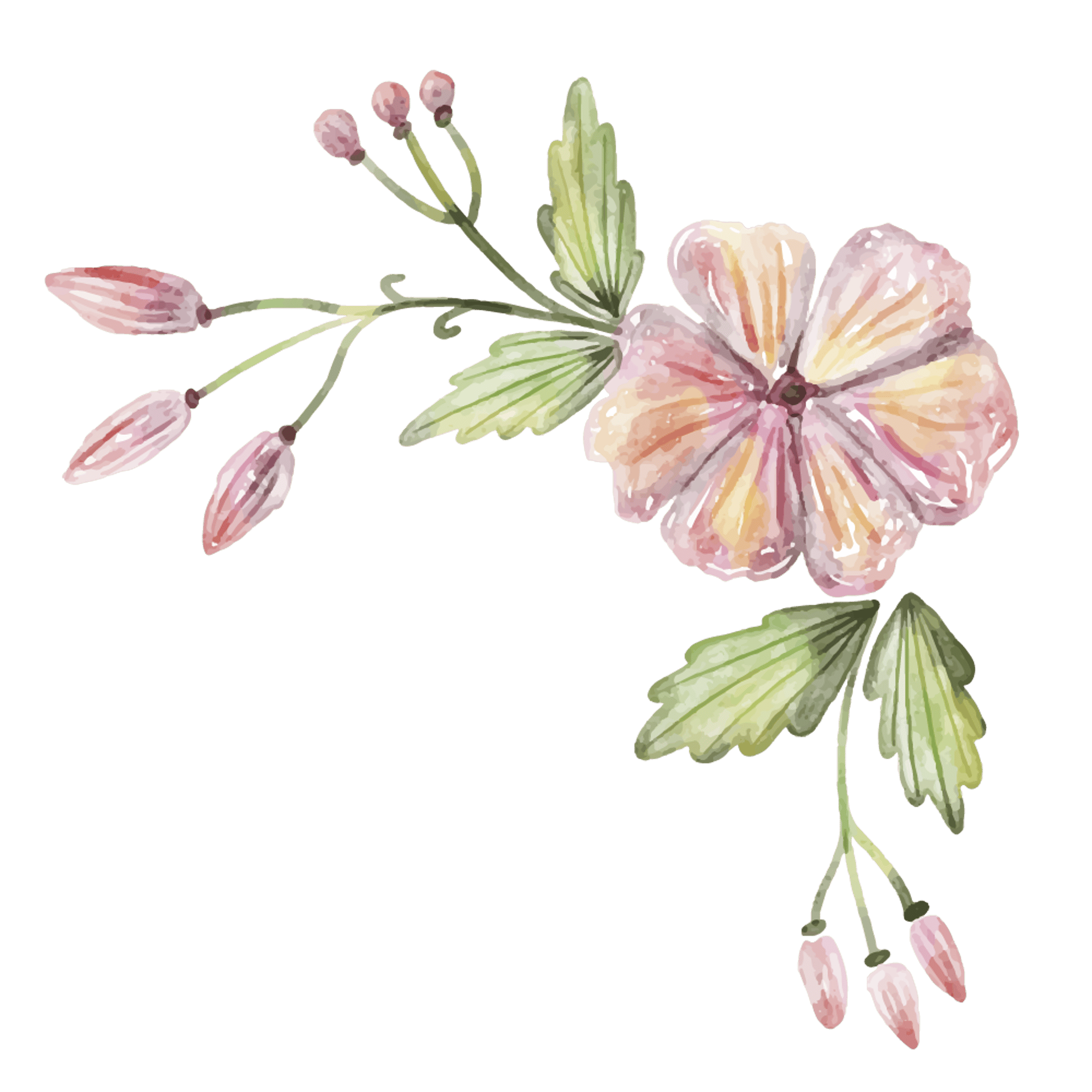 Floral Corner Graphic
