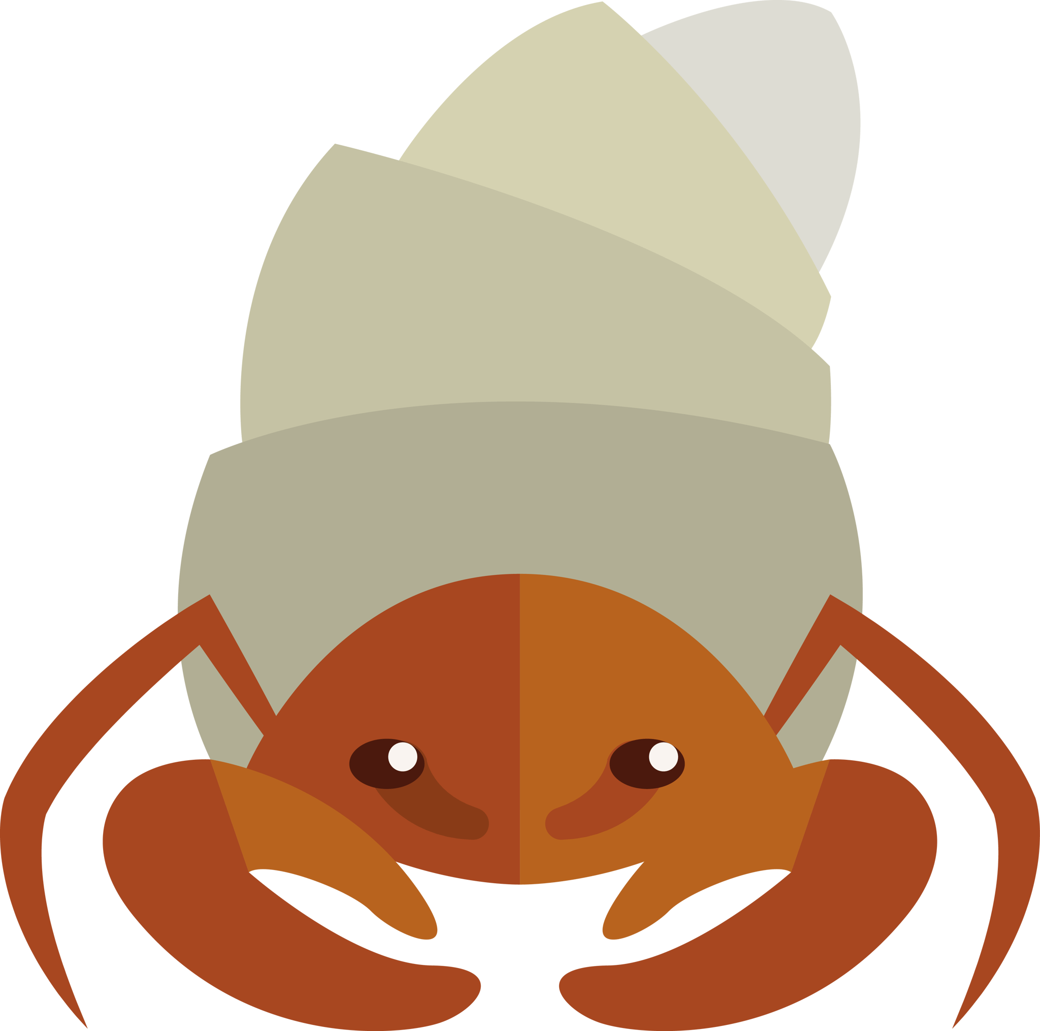 Hermit Crab