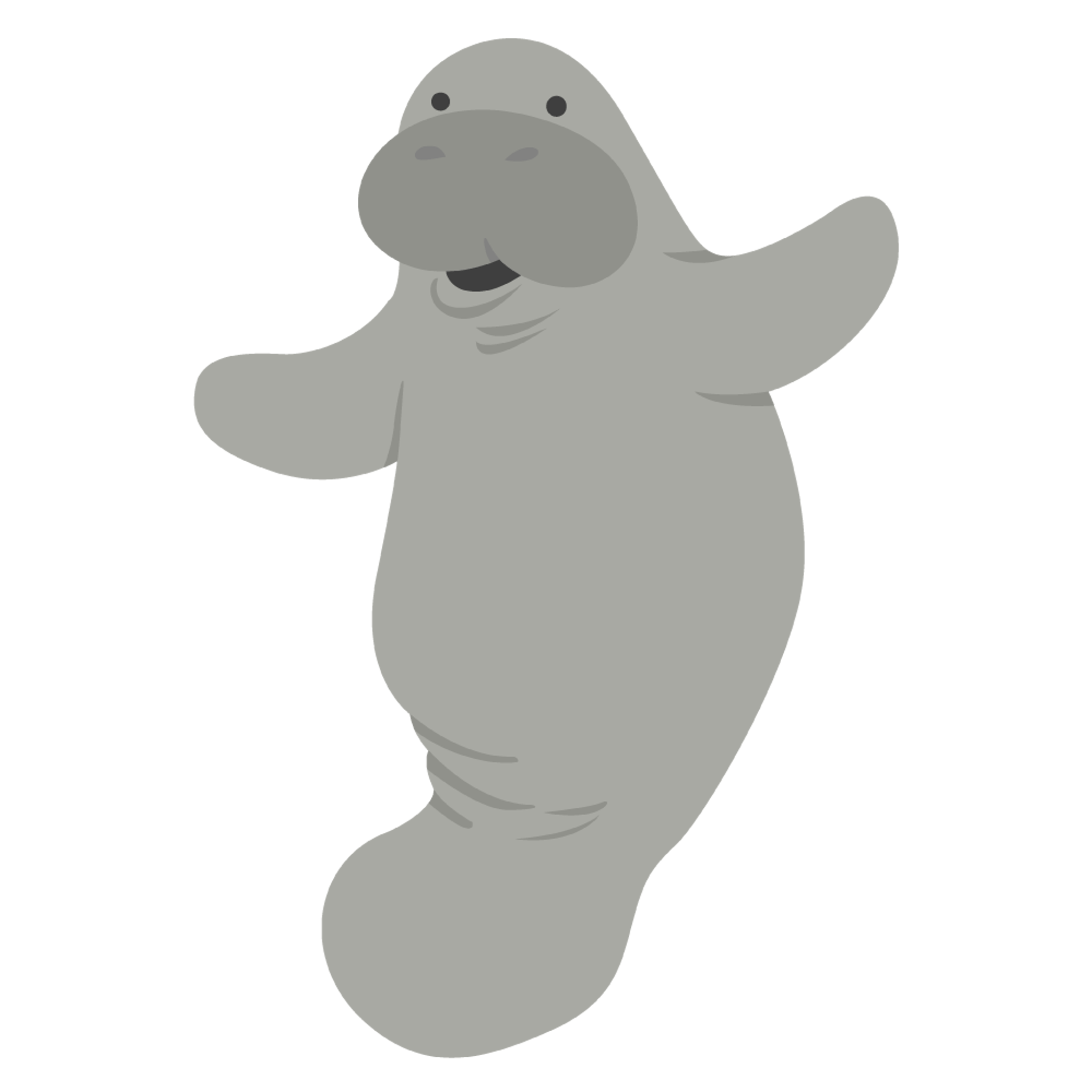 manatee 9