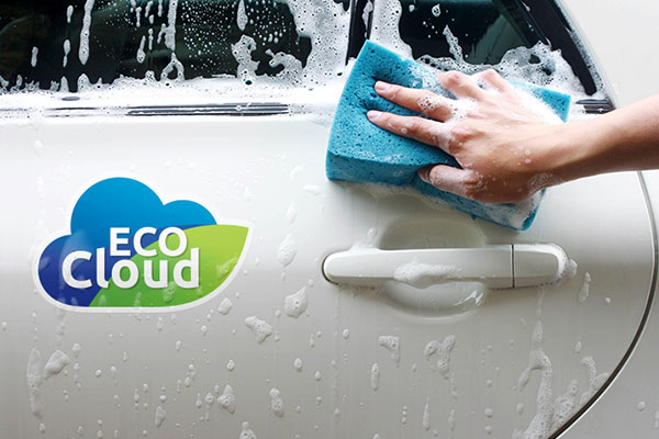 weatherproof sticker on car